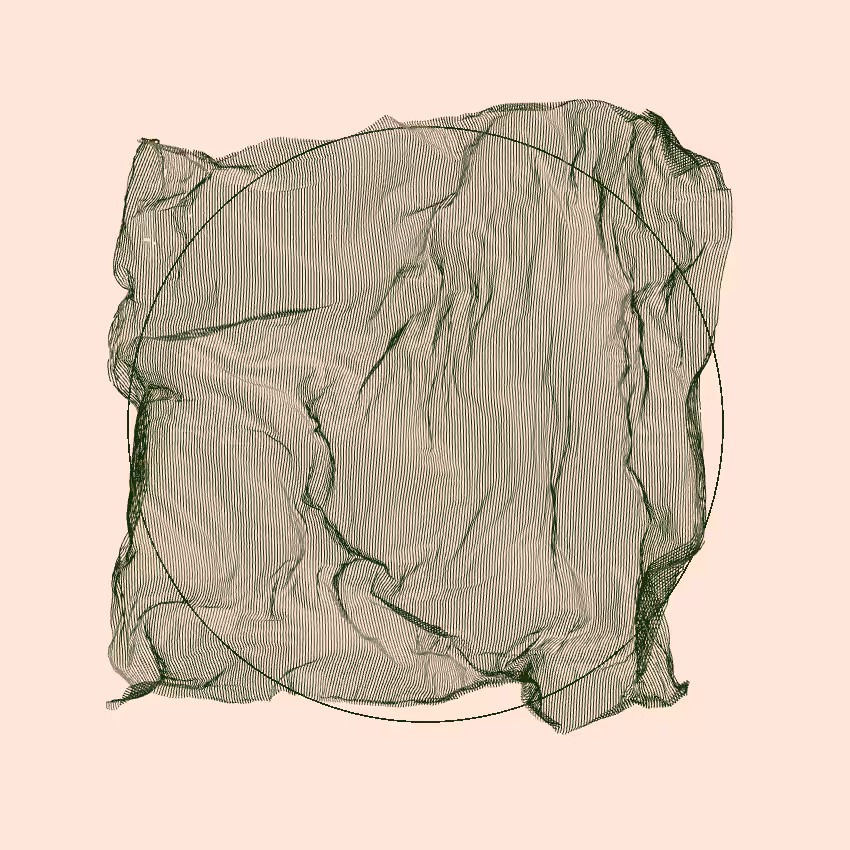 Fibril #213