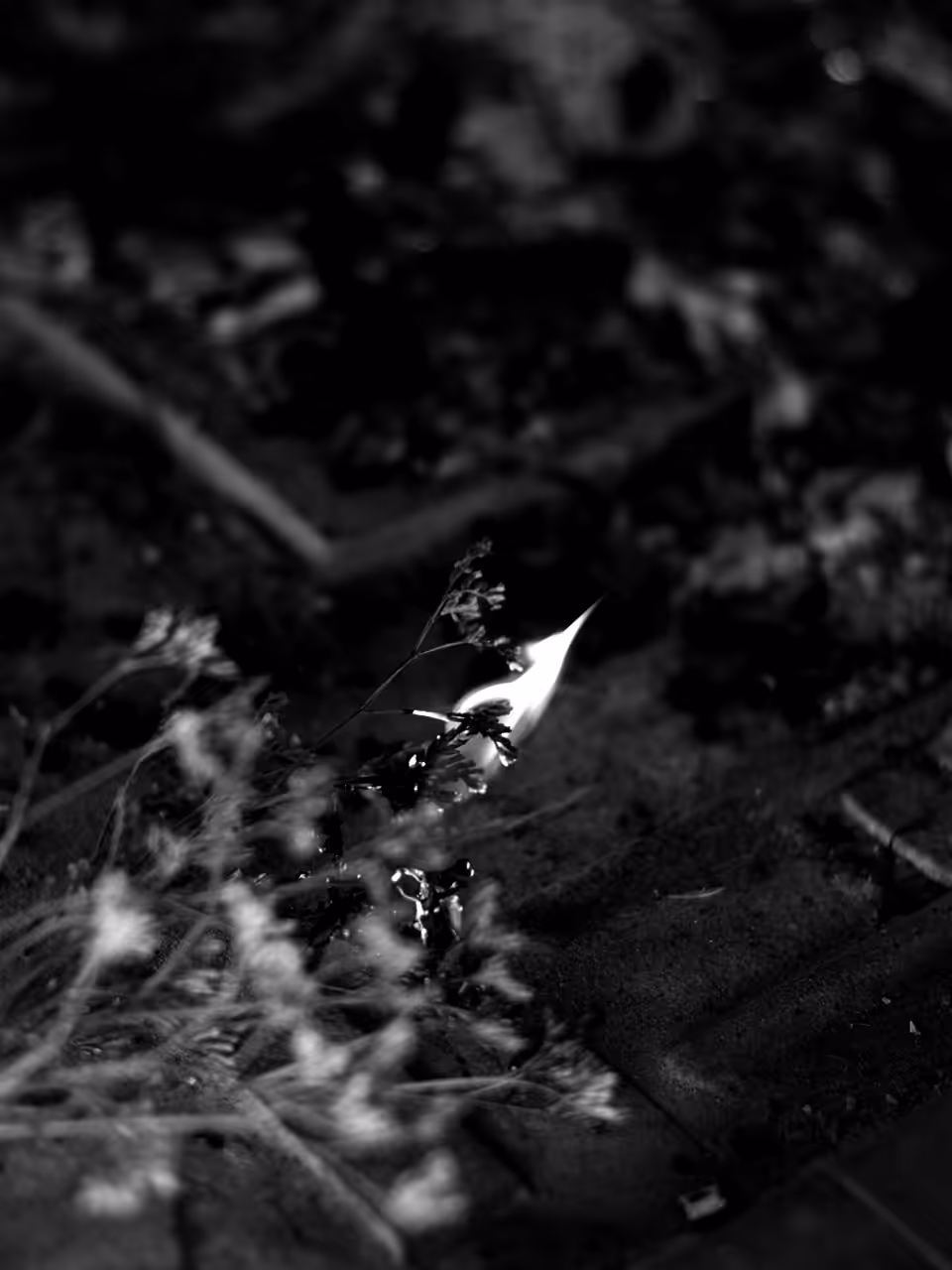Obscure 2/3:: Prayer