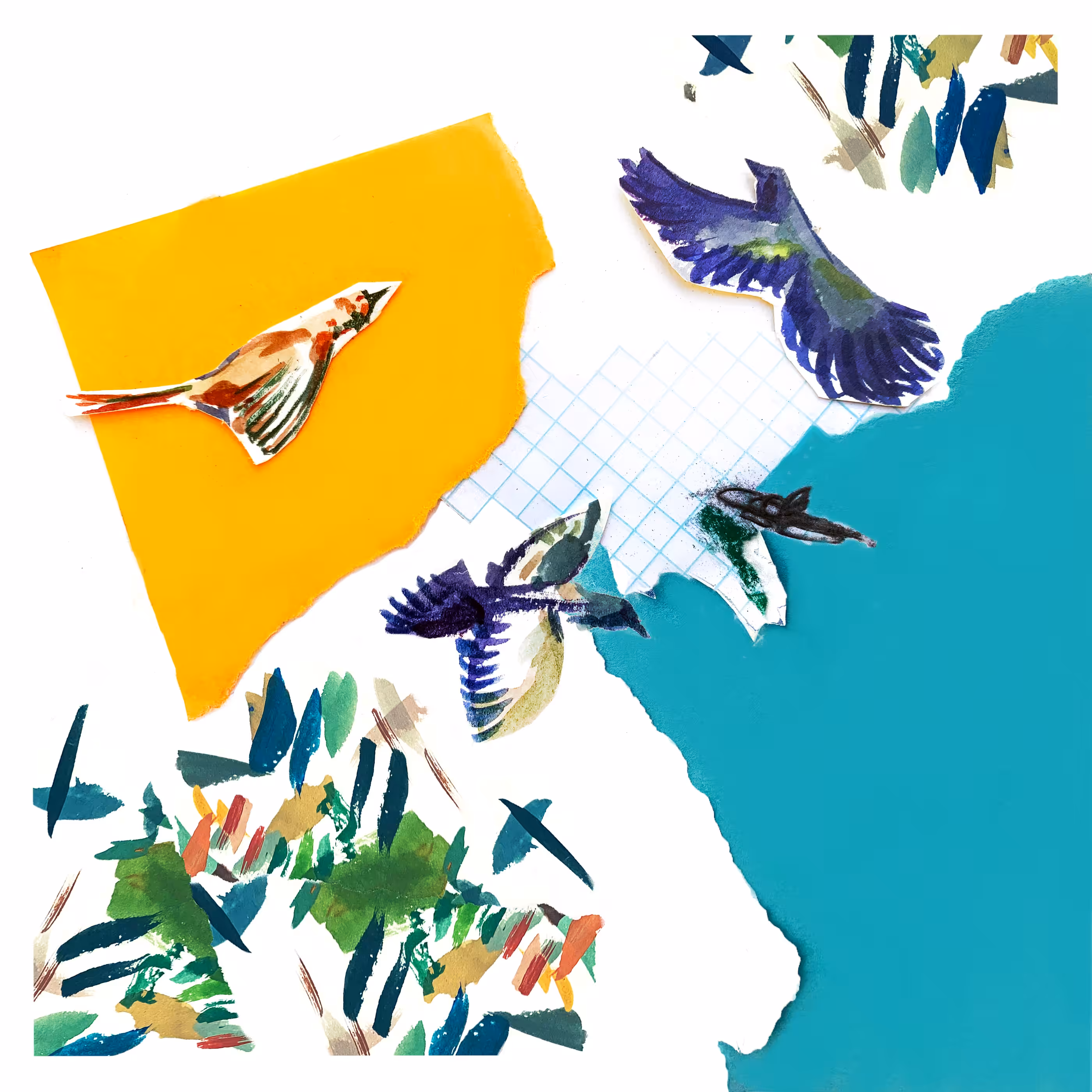 001 Birding