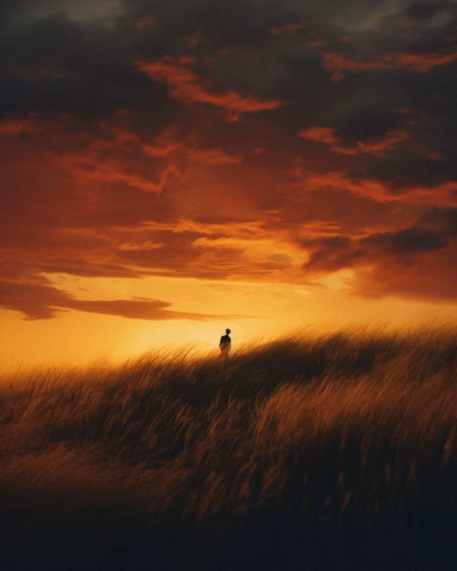 wind