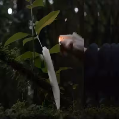 Last Ritual