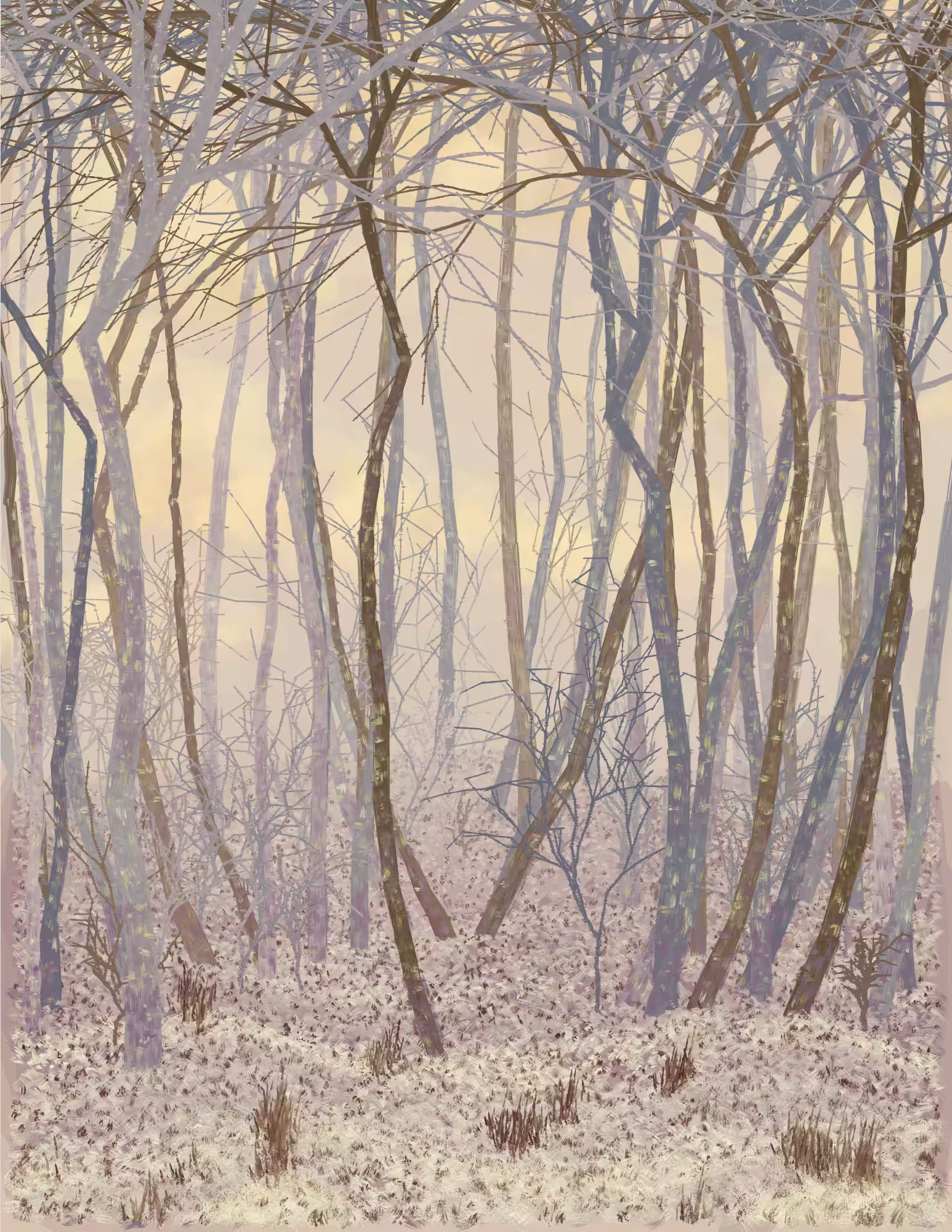 Deep Forest #182