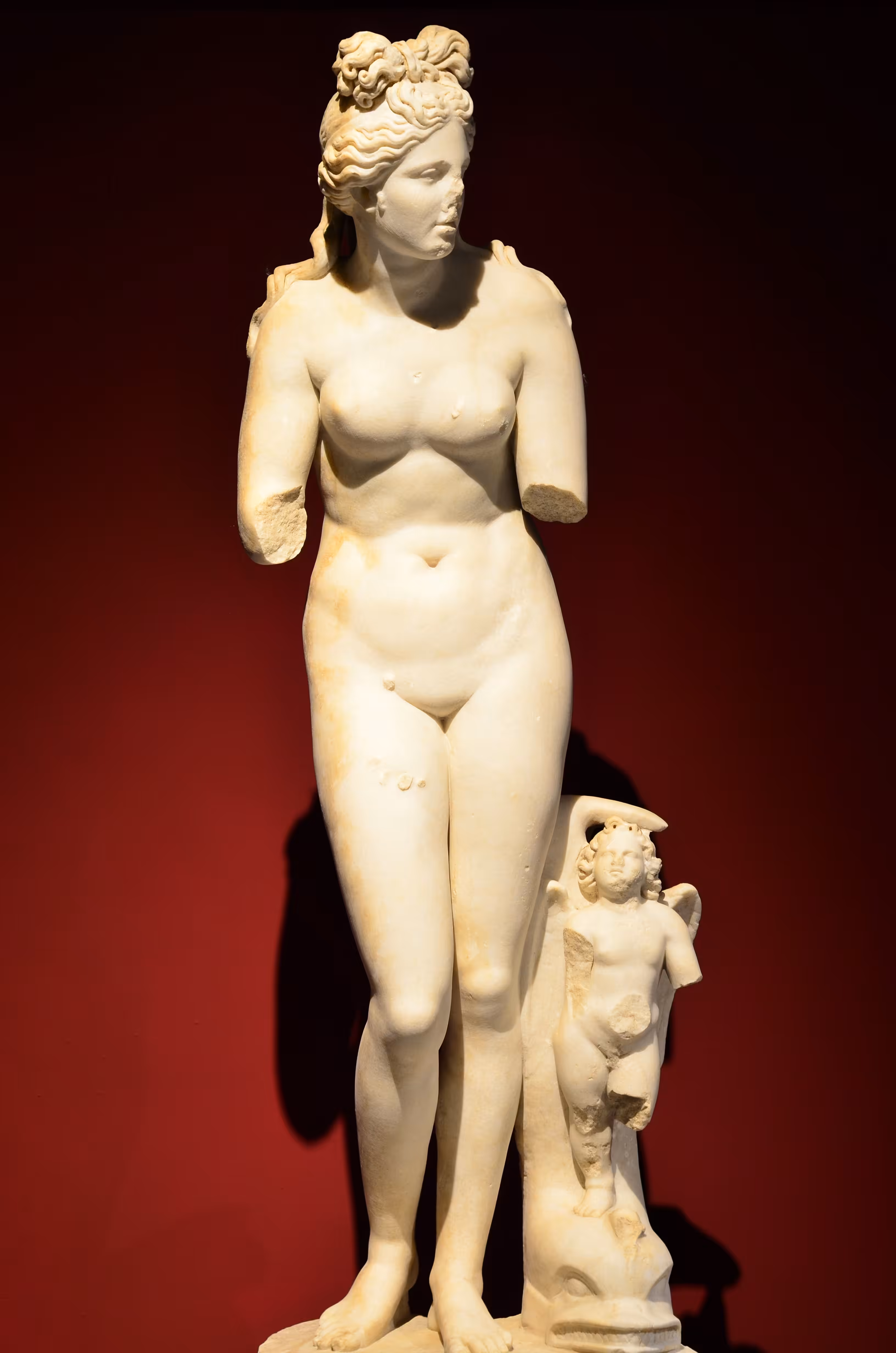 Aphrodite (Venus)
