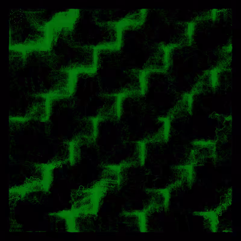 Photosynthesis #11