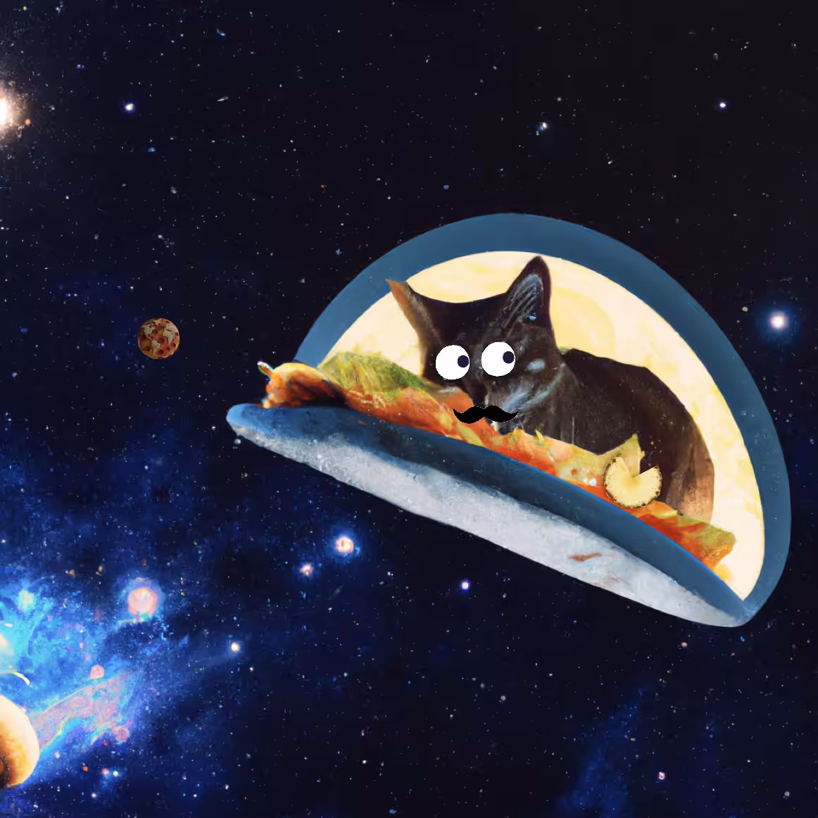 The Taco Space Cat