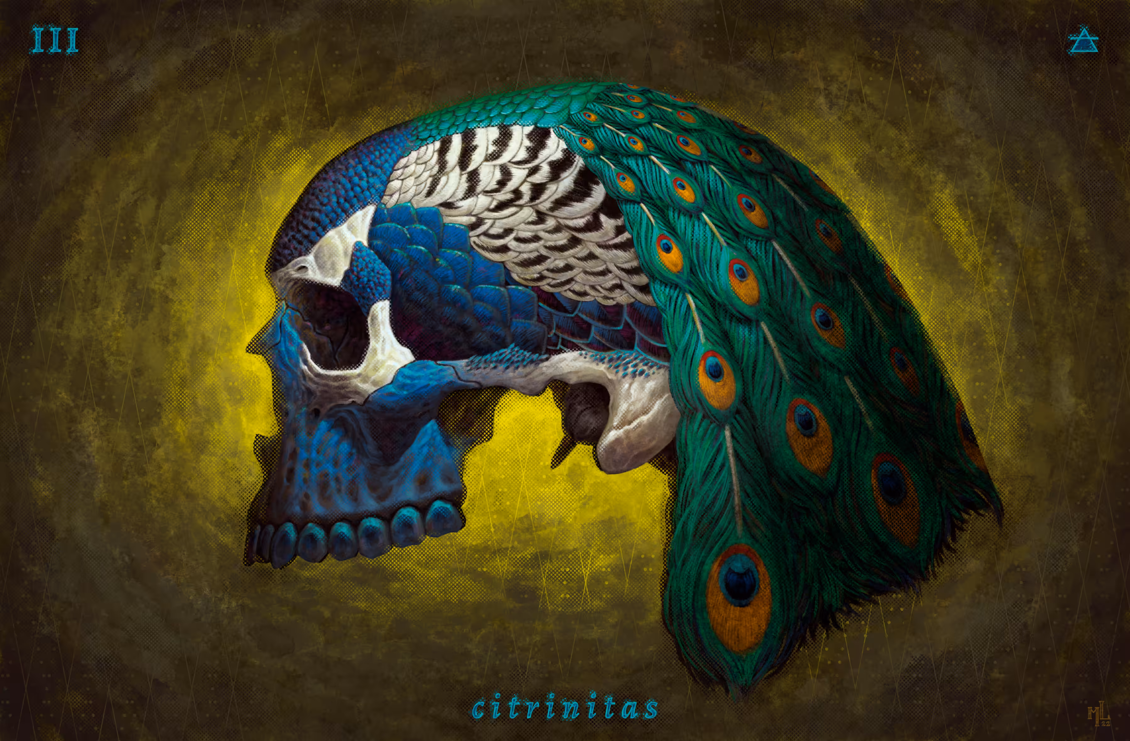 magnum opus iii • citrinitas