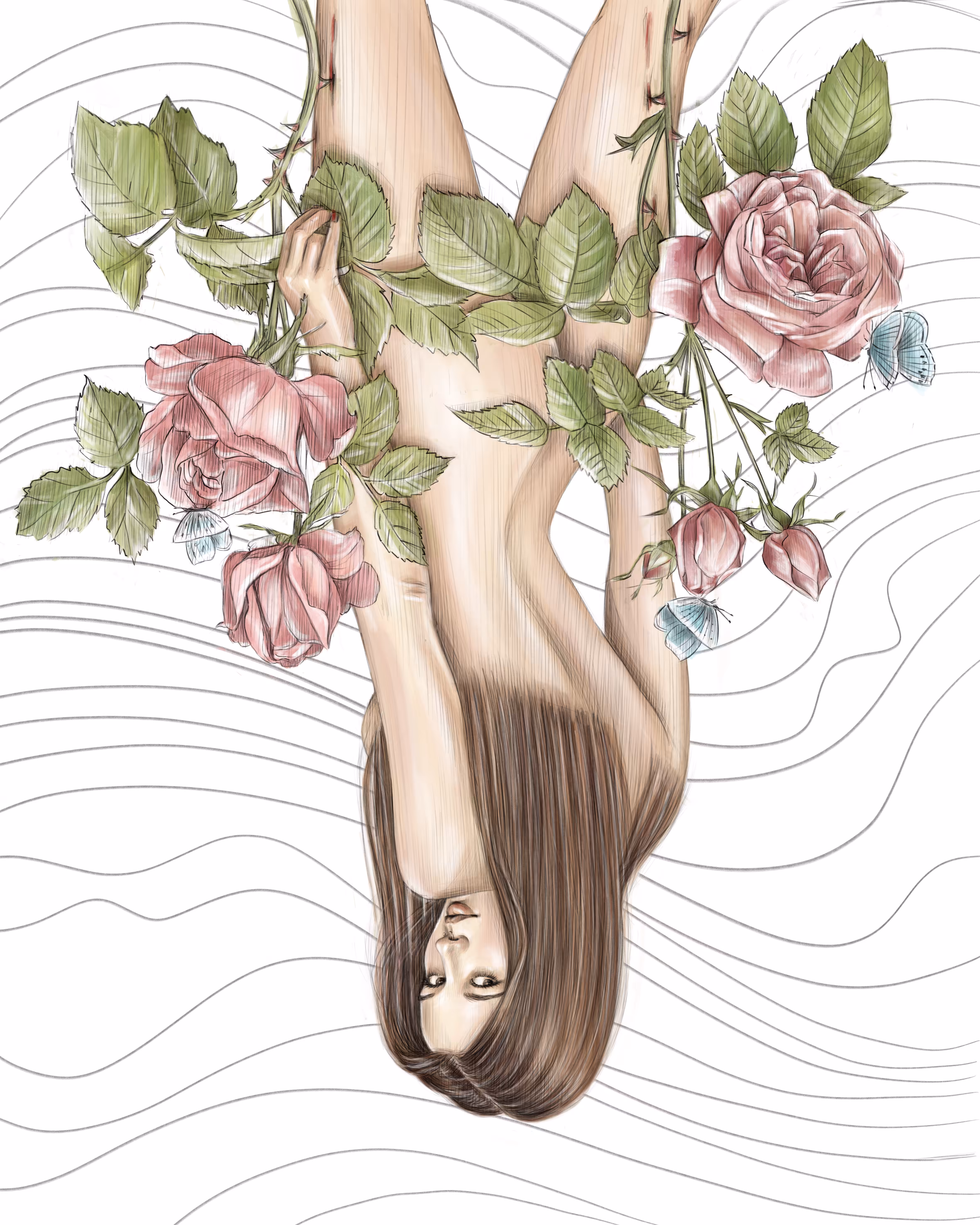 Pink Rose