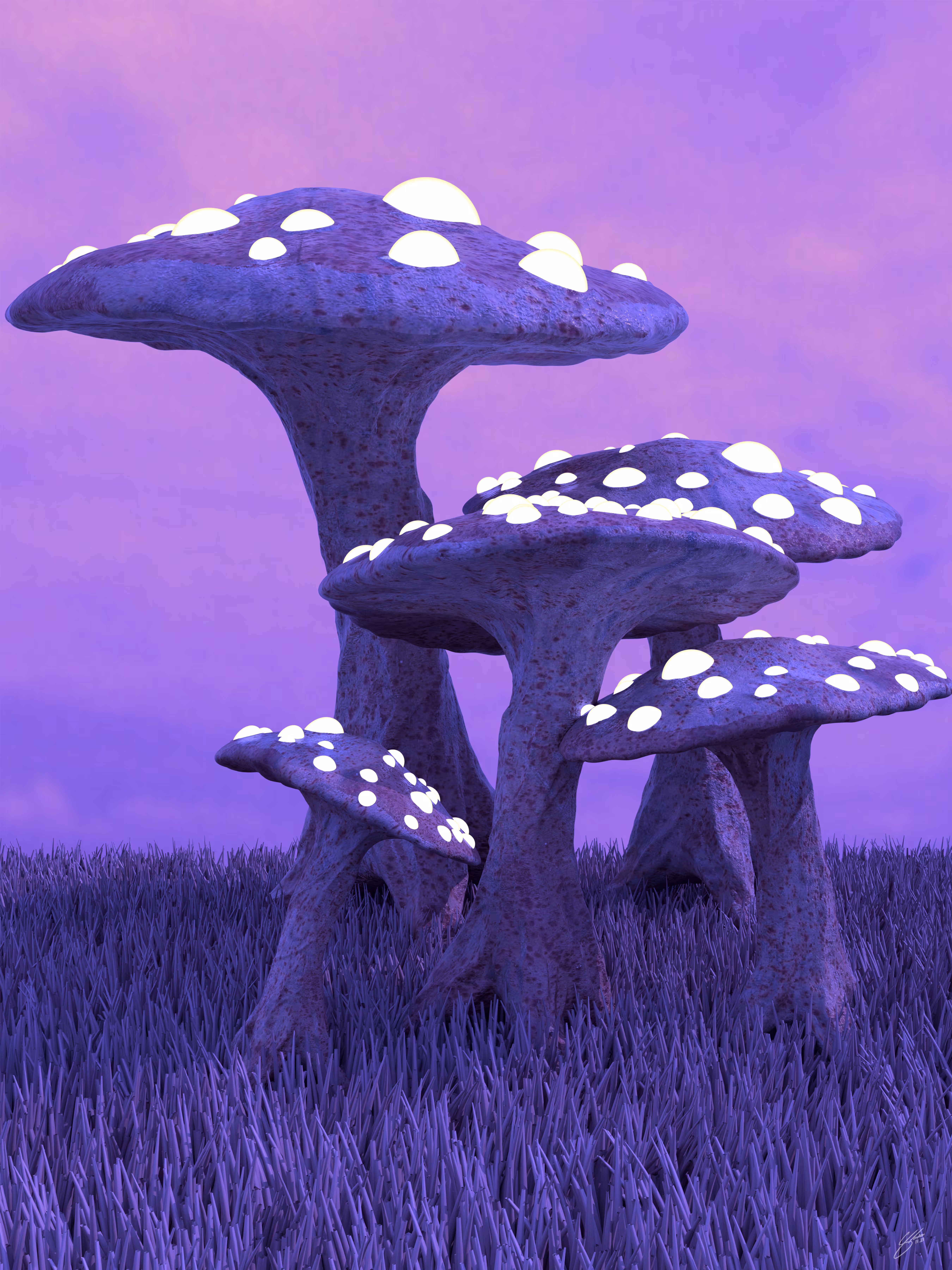Immersive Environment