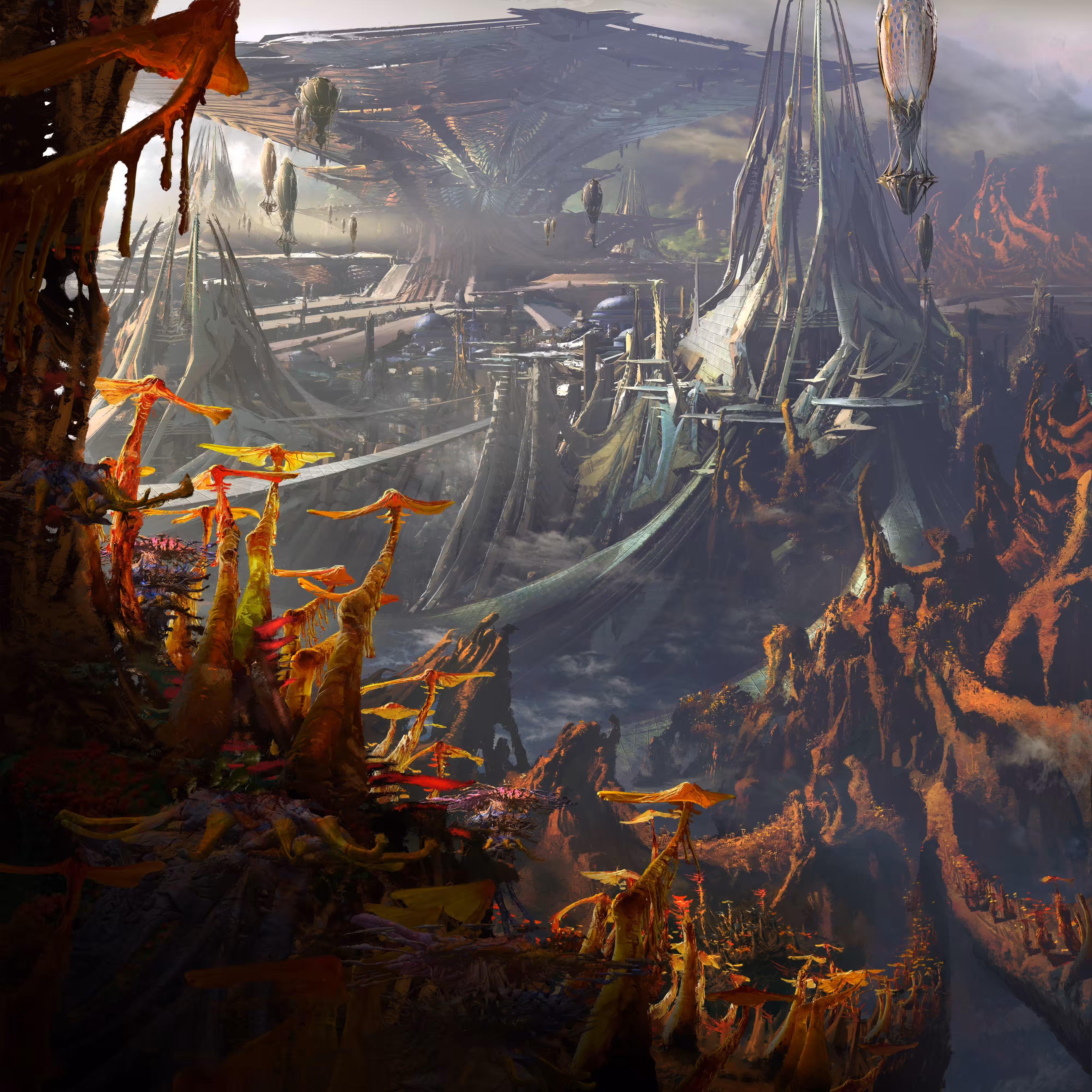 Coral Overlook