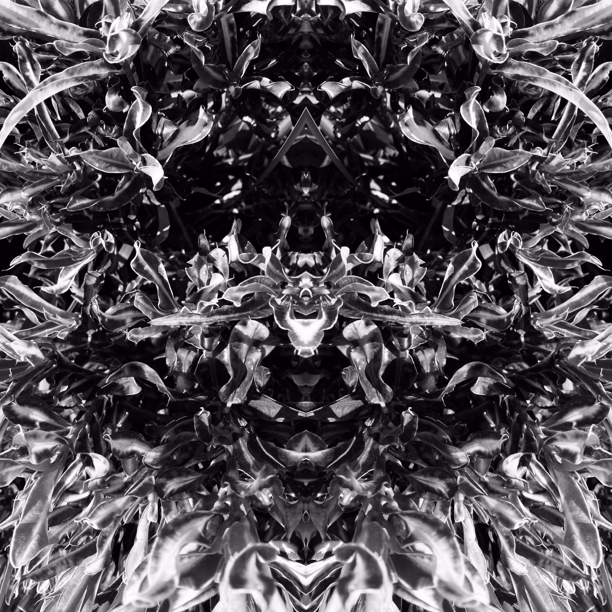 FRCTR/03