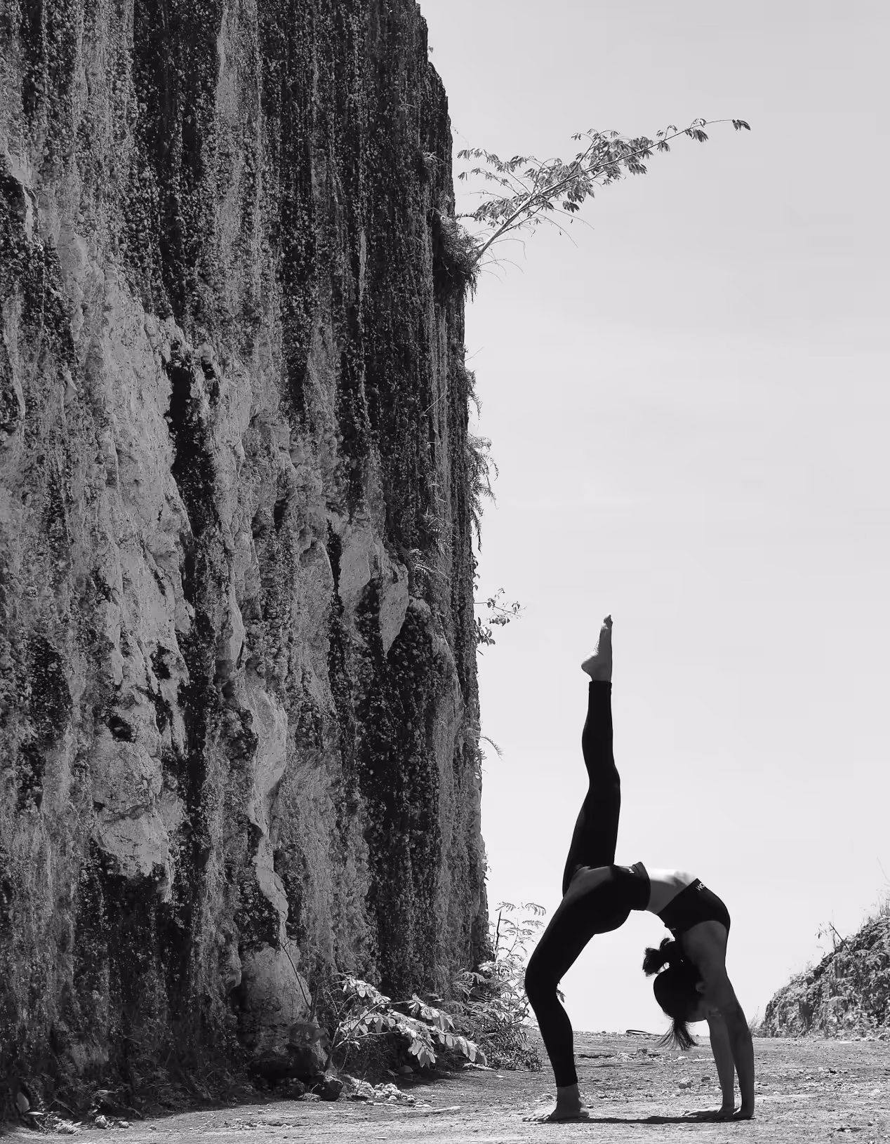 Down the wall