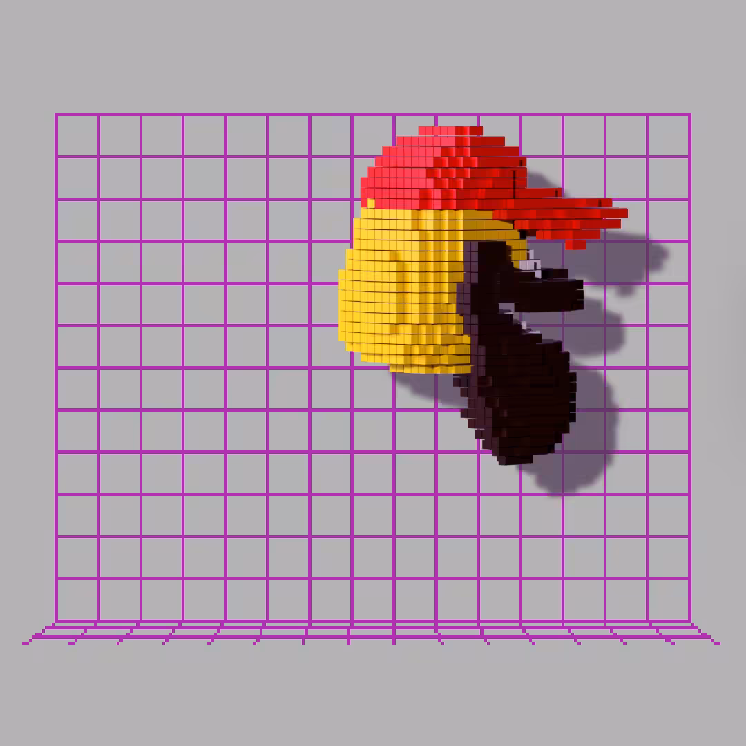 Voxel Eric 06