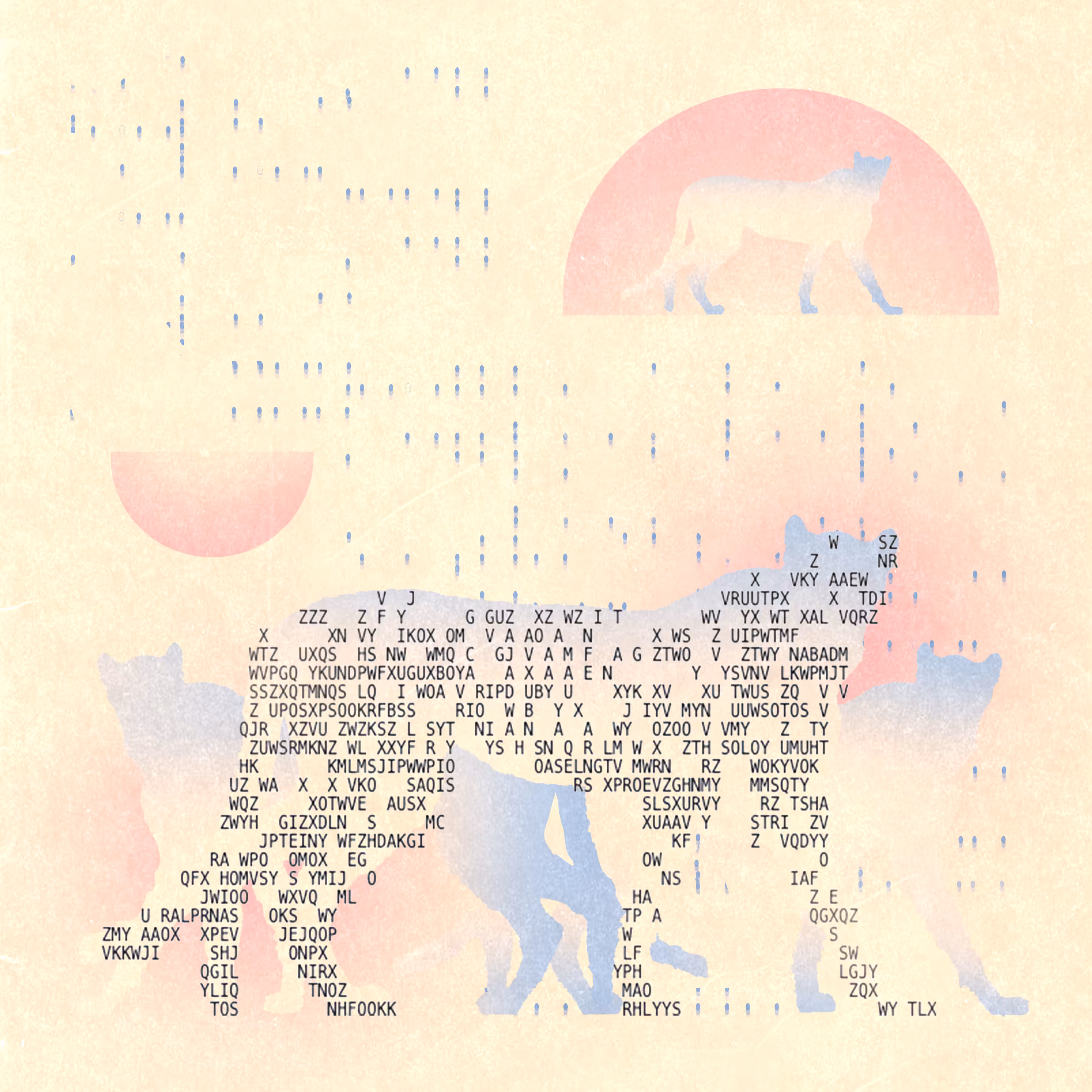 cheetah #2.