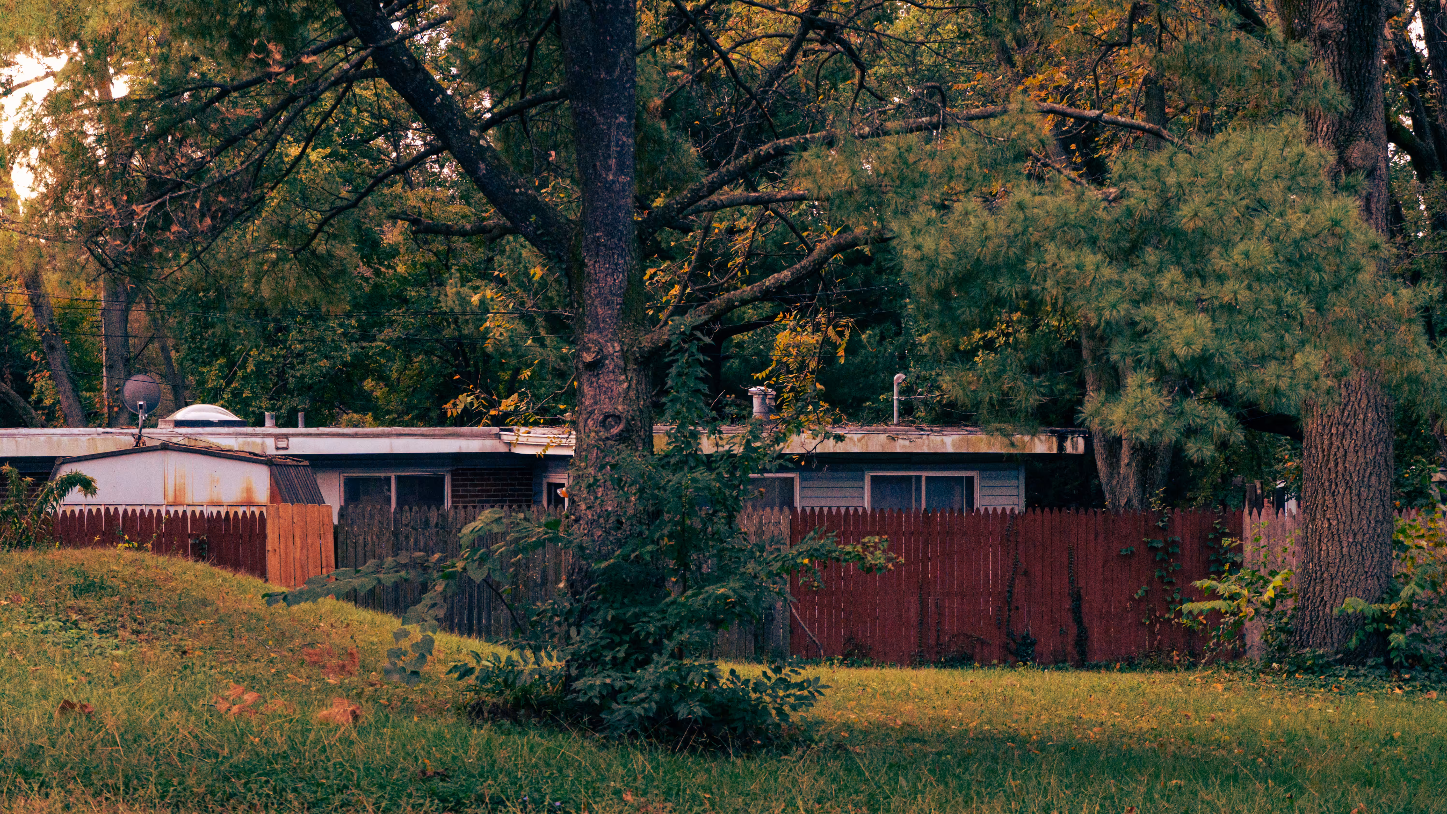 portrait of the midwest