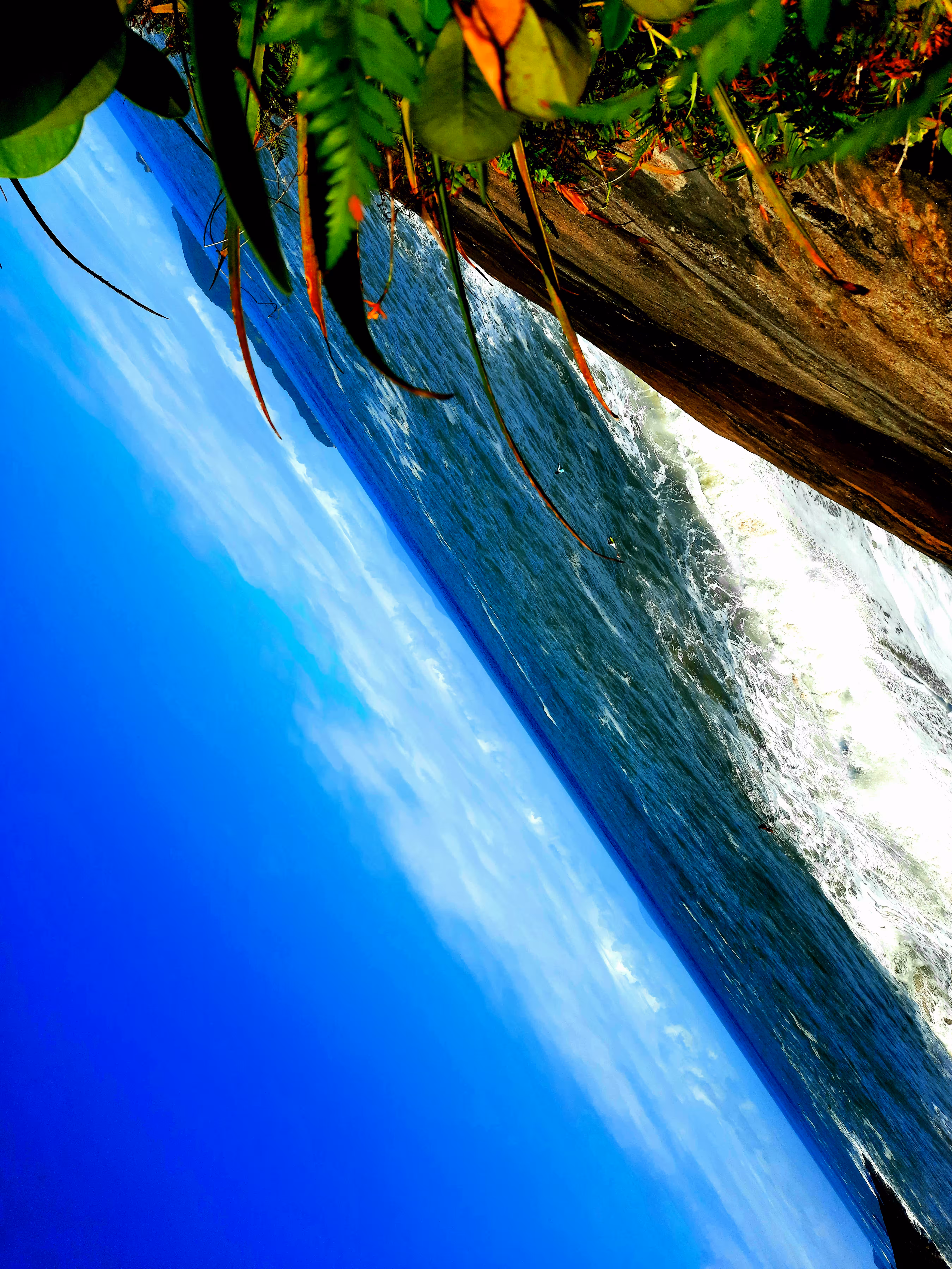 Distorted-Nature#13