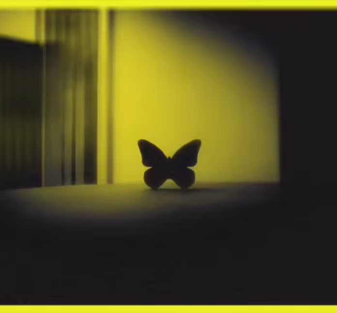 JoeS volume: #3 Broken yellow butterfly & JoeS volume