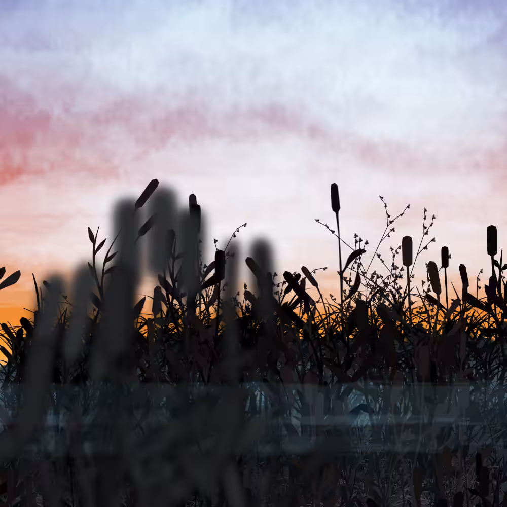 Walk in the field #37