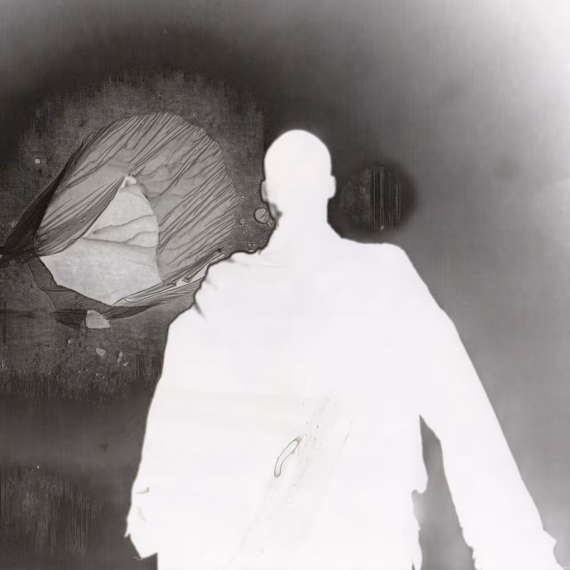 Distorted Silhouette