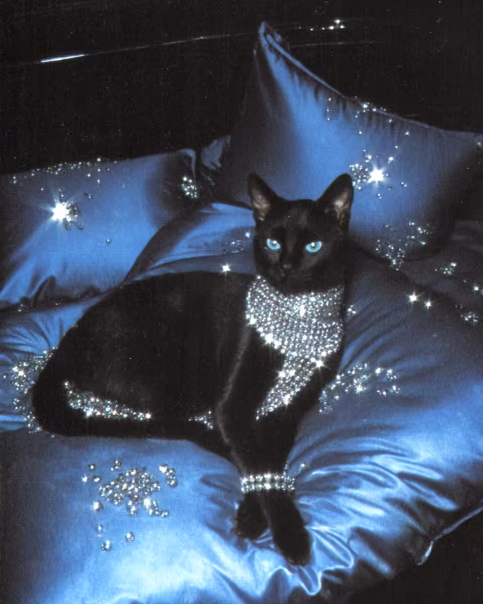Princess