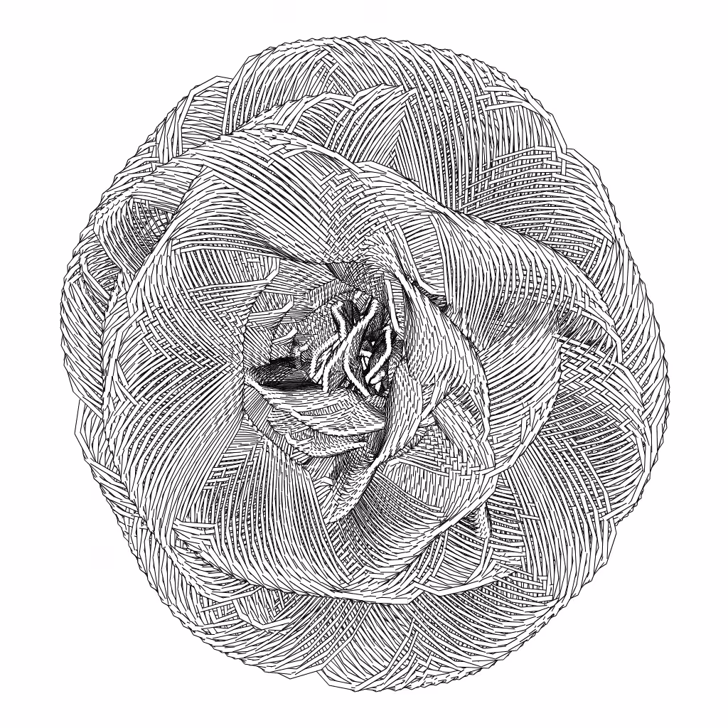 LL21 Entangled (3) #610