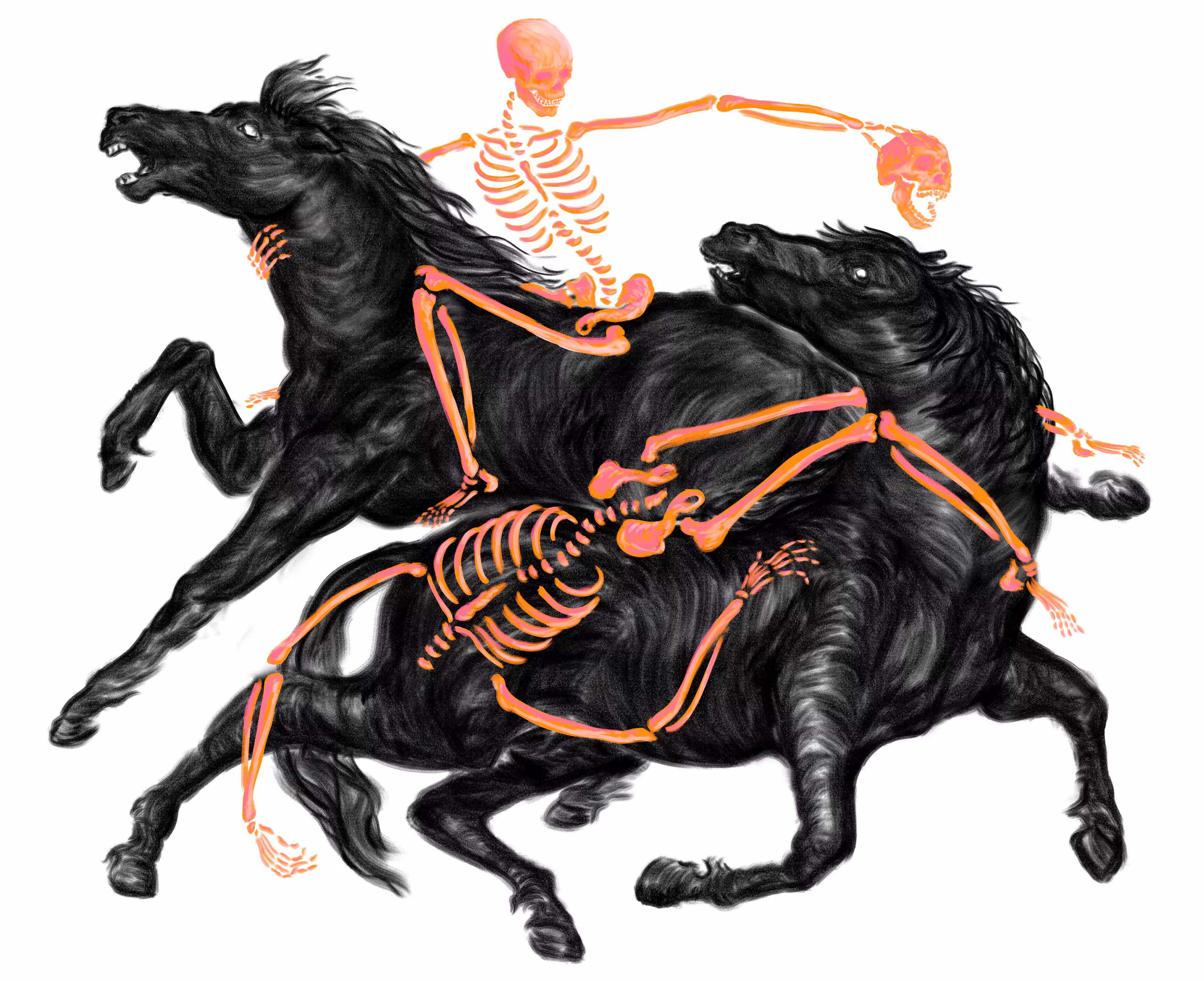 𝗧𝗵𝗲 𝗟𝗼𝘀𝘀 ✧✦