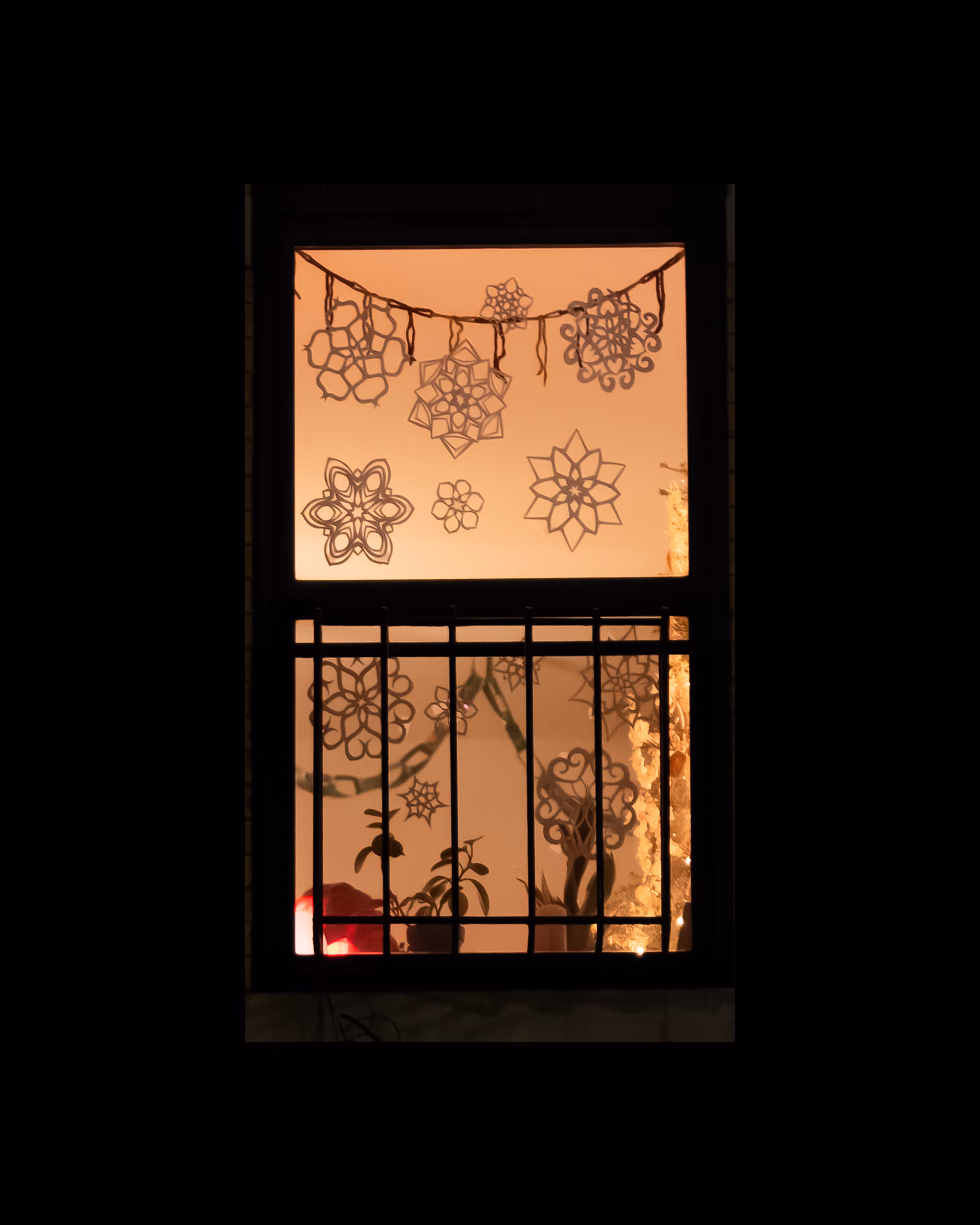 WINDOW 442
