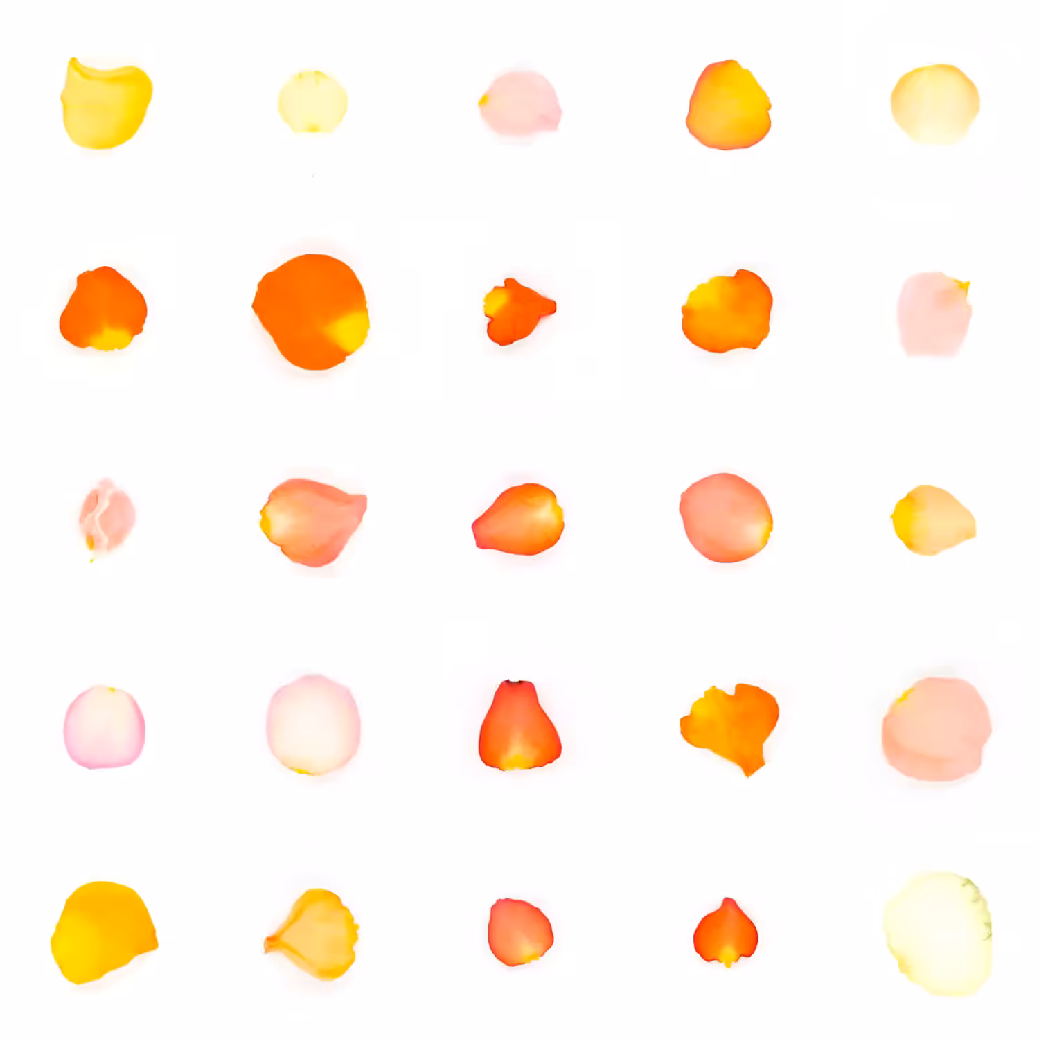 Infinite Petals 5x5#20710