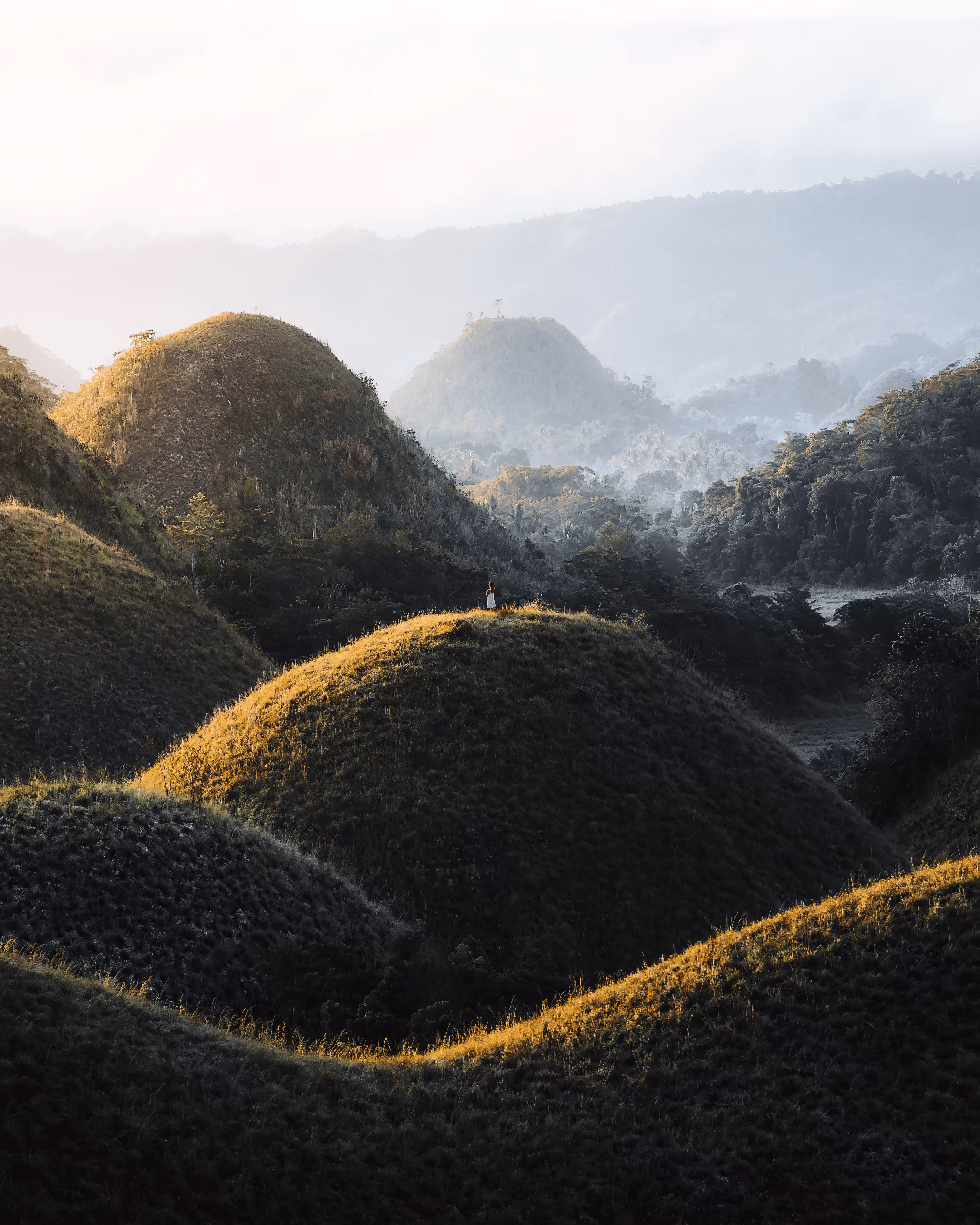 #10. Chocolate Hills
