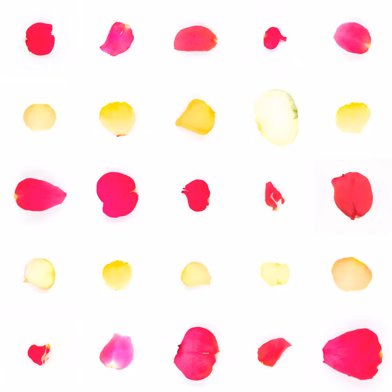 Infinite Petals 5x5#20853