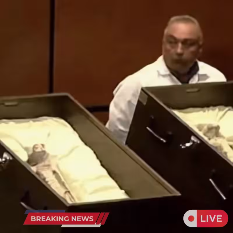 Ancient Aliens: Mexico