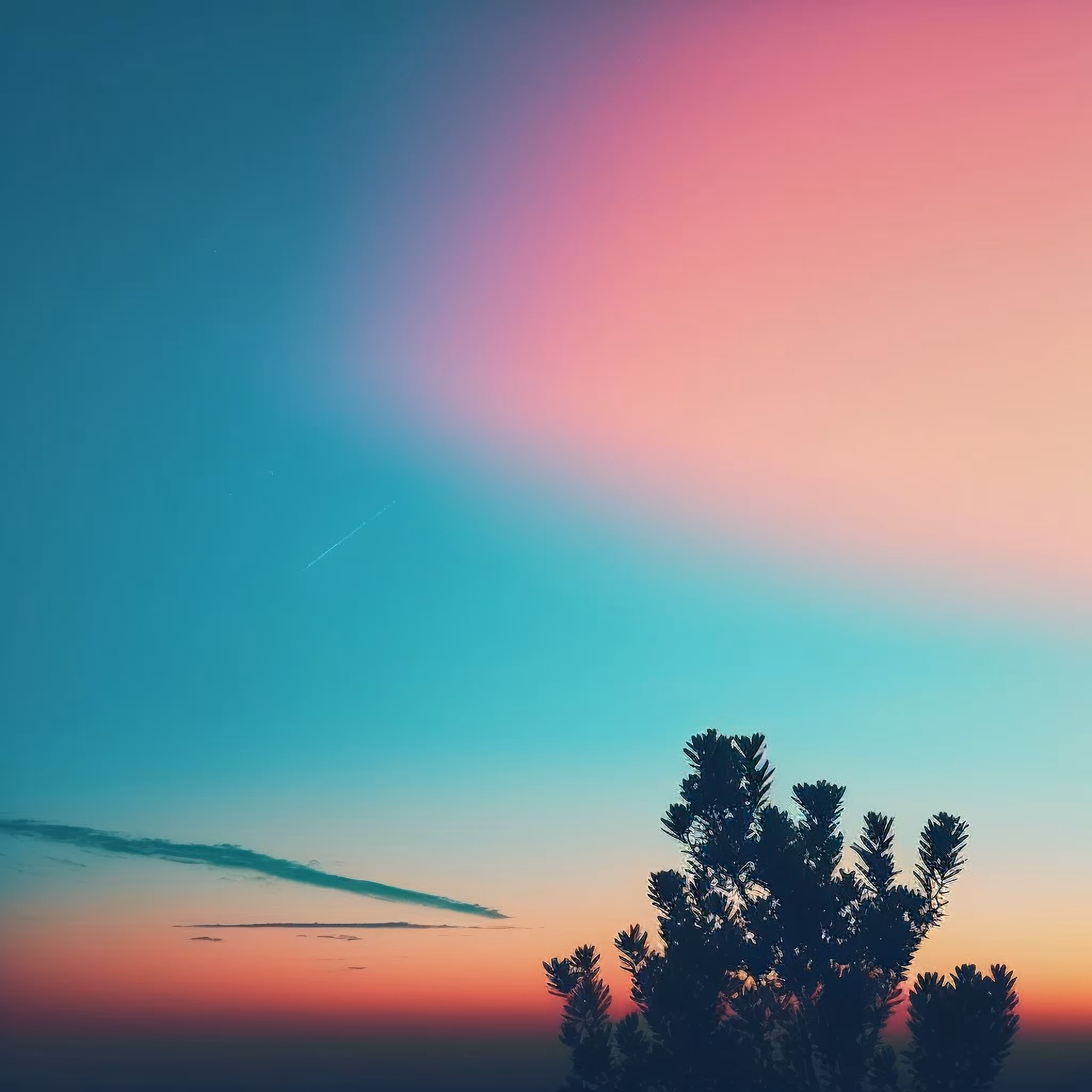 Gradient #16