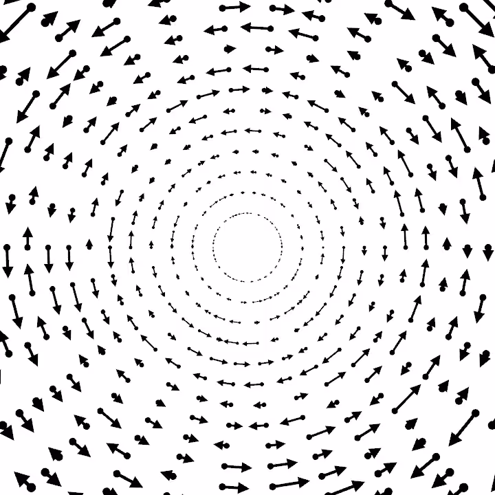 DoodleDeProgramming_20220212