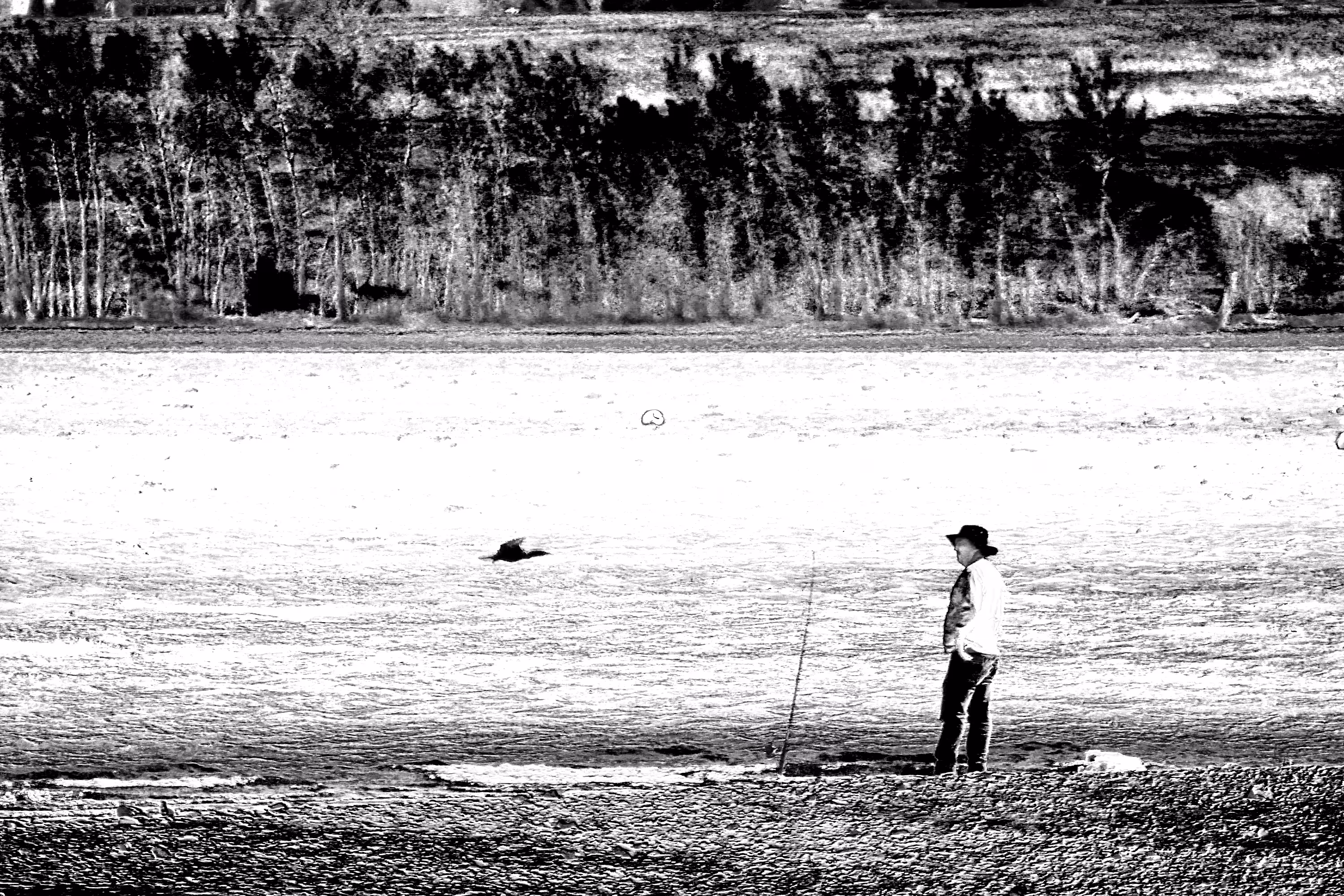 Dude fishing, loon flying