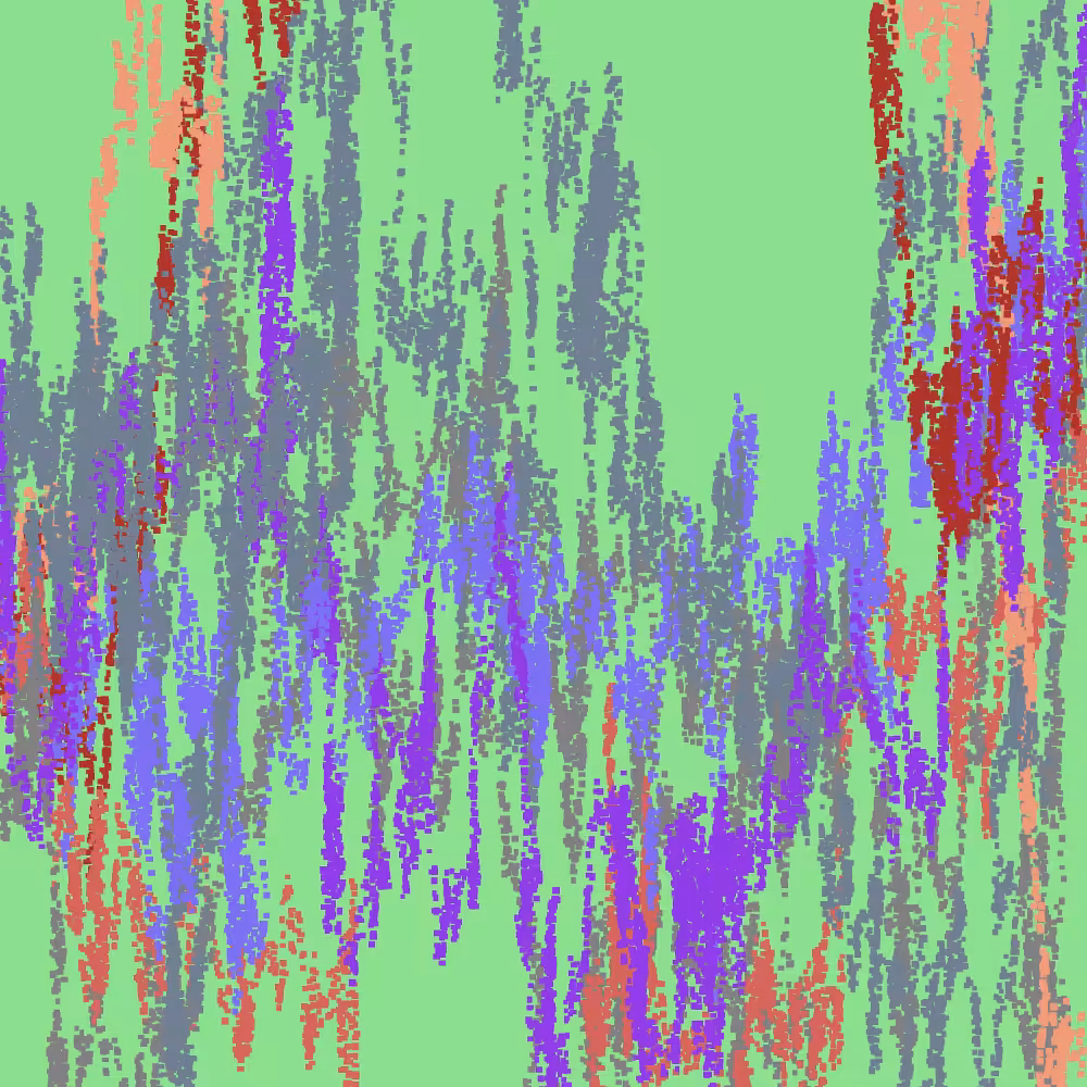 Live picture #14