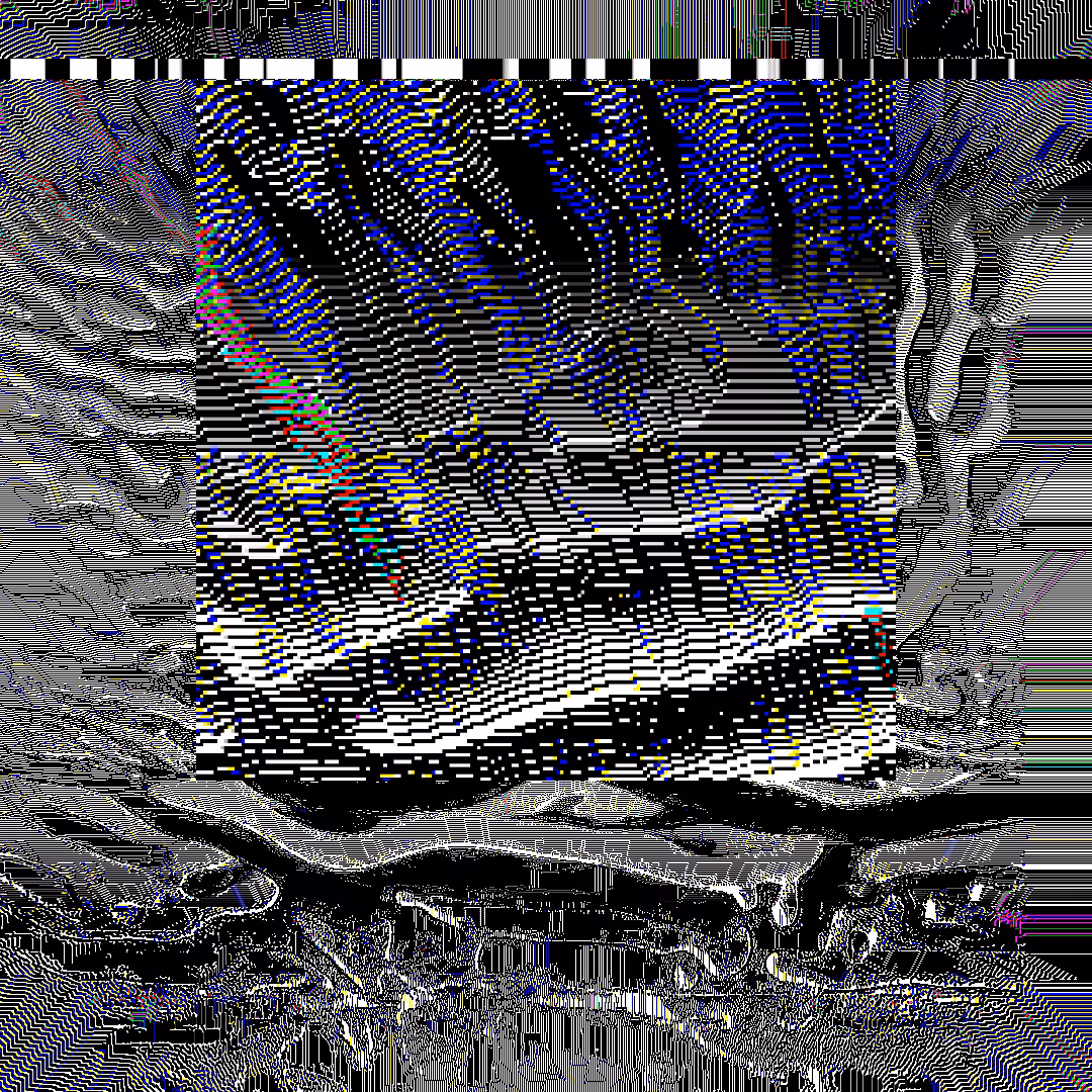 nearest neighbor - genesis  #65