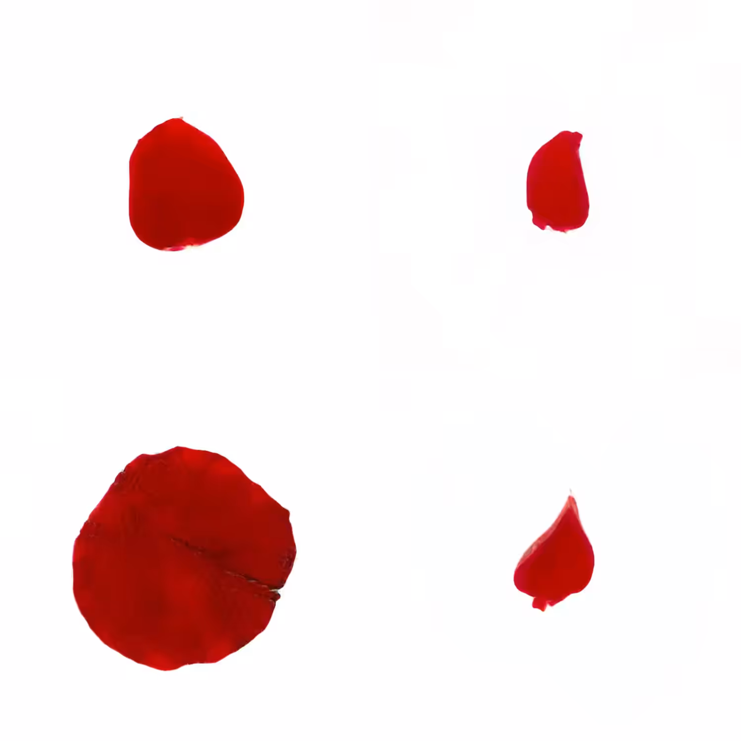 Infinite Petals 2x2#1688
