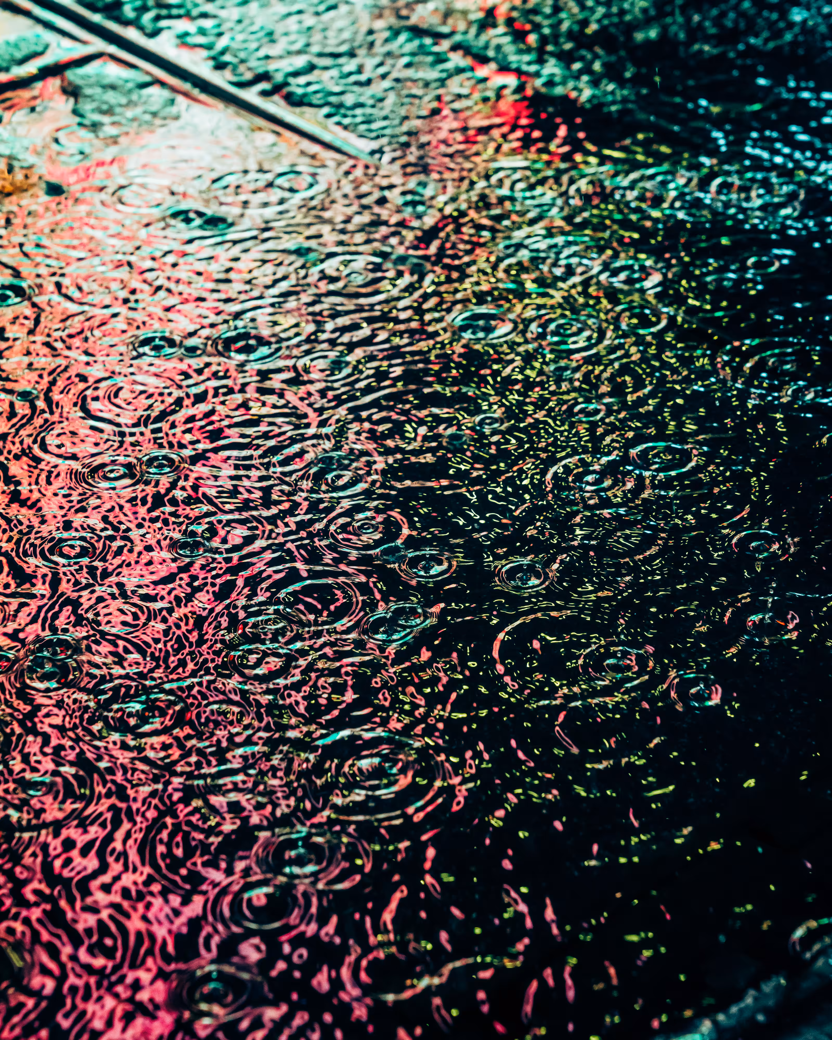 DRIP #485
