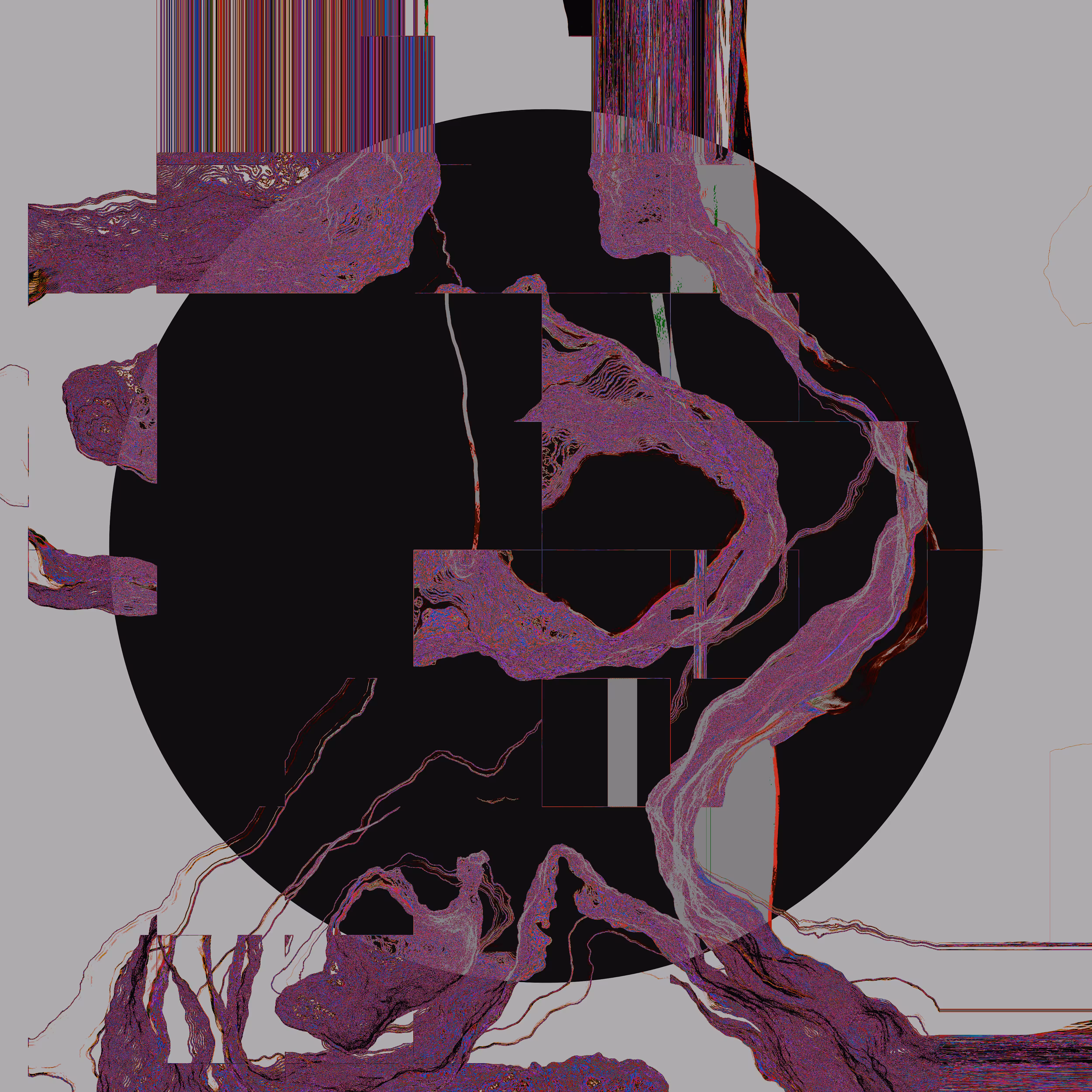 Dig.N.28