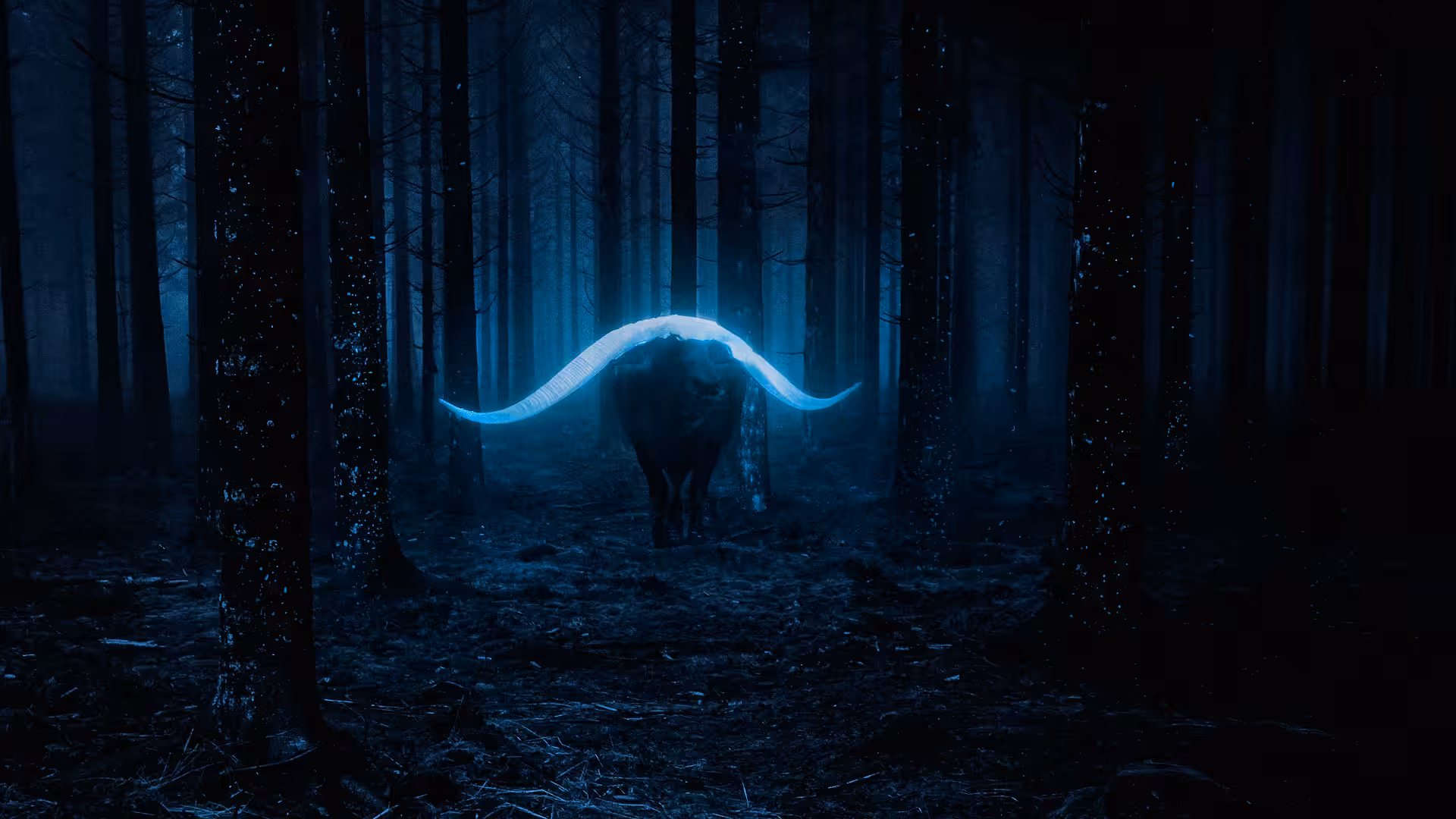 The Forest of Eden
