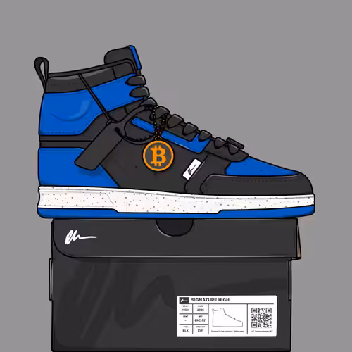 Signature Sneakers Highs #237