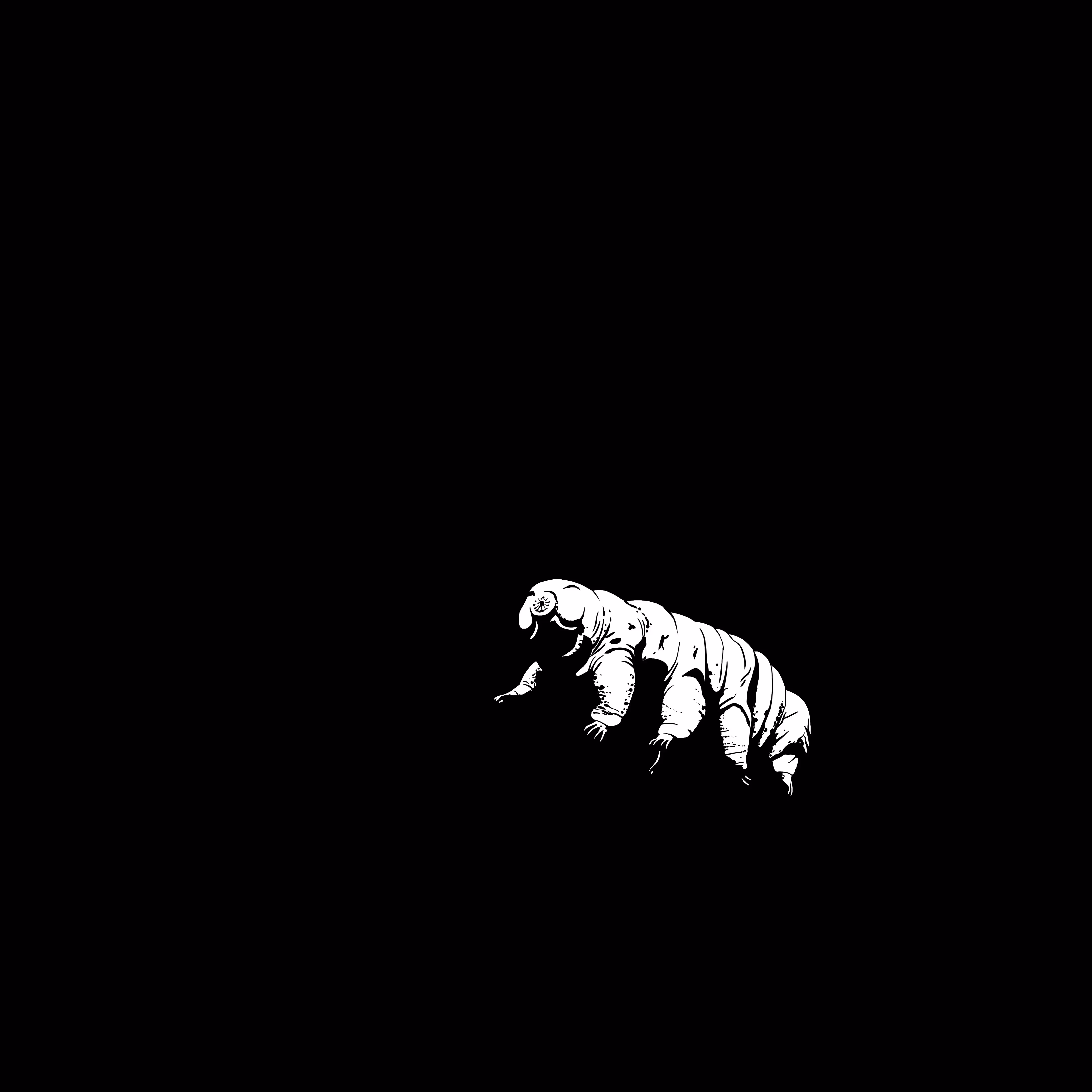 The Tardigrade