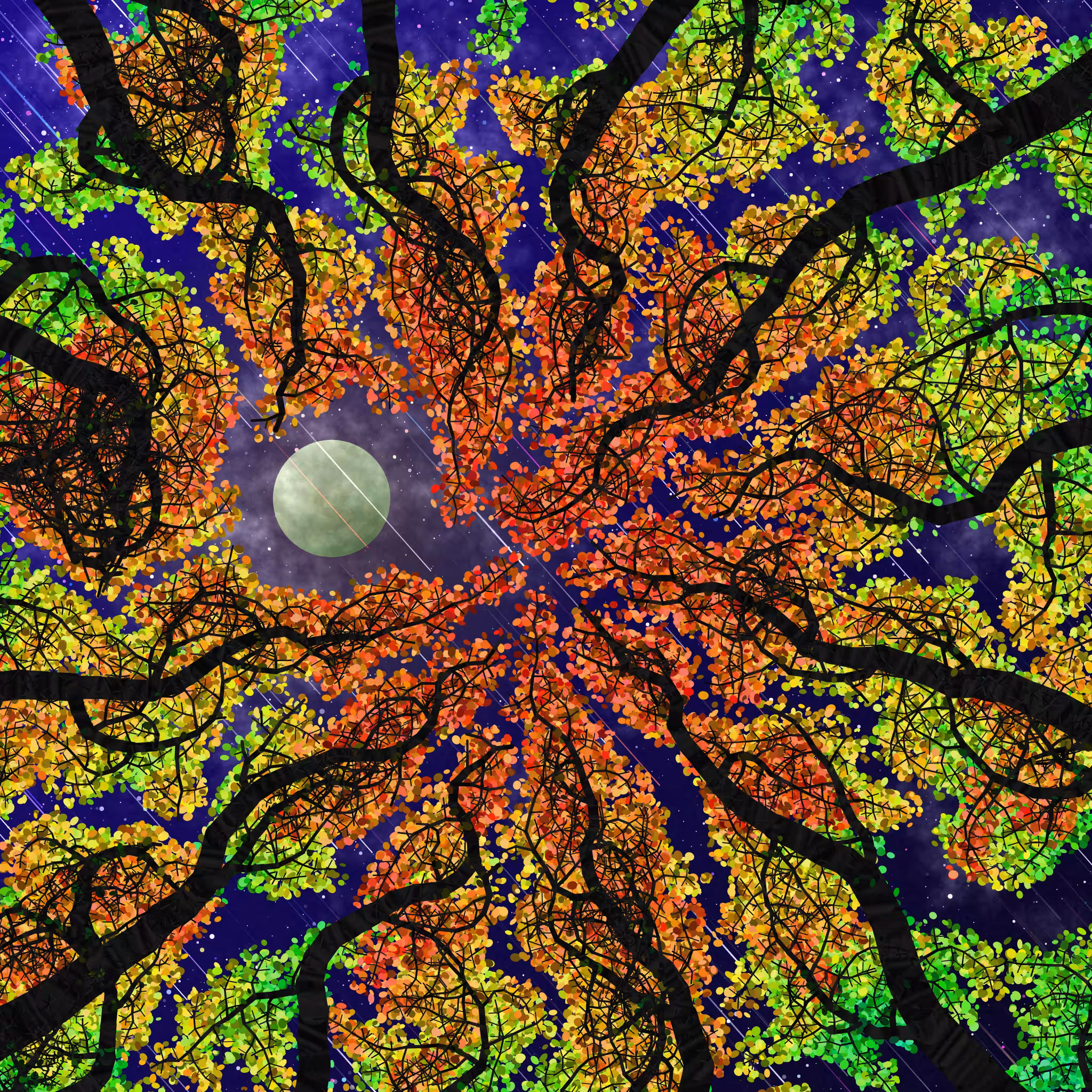 Tree Skyness #11