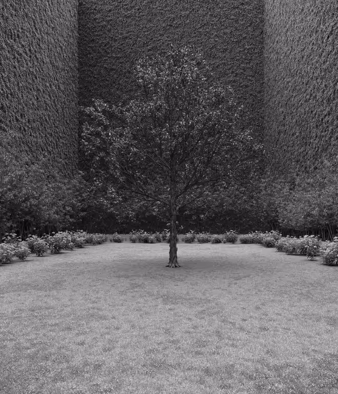Garden of Imagination #69
