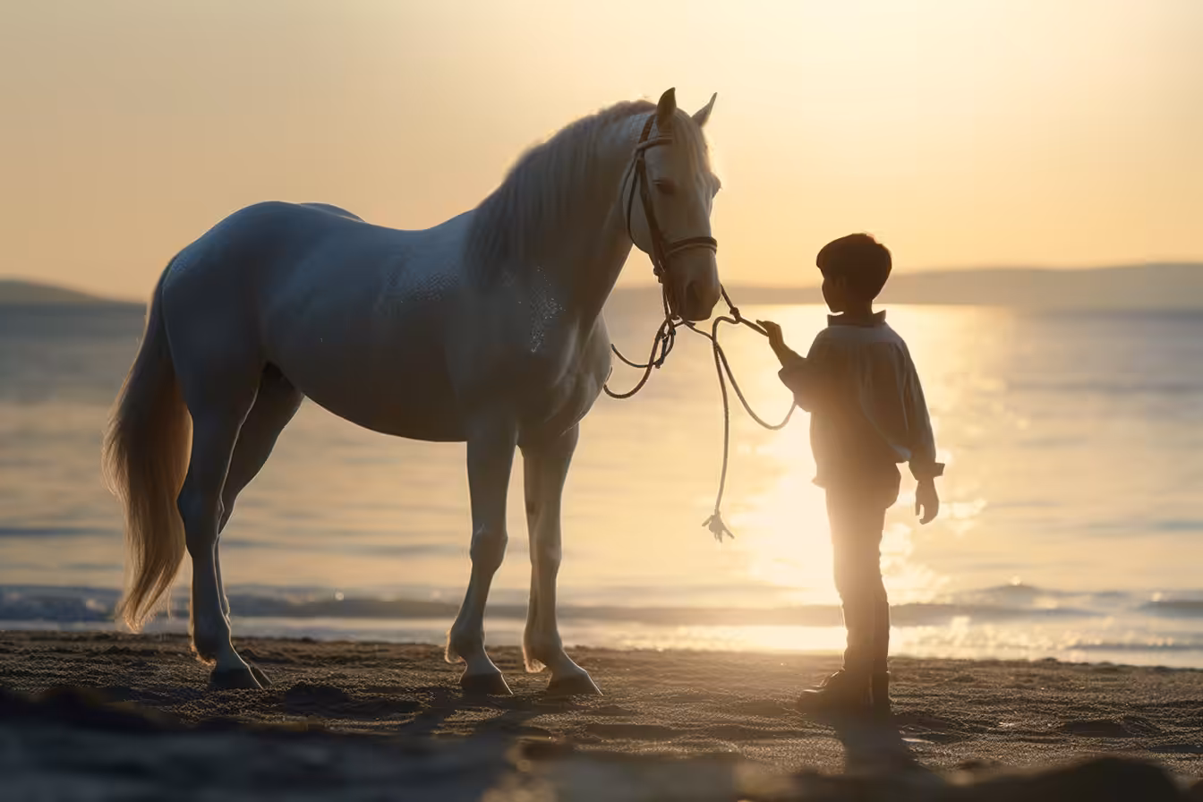 White horse and child on the beach in backlighting