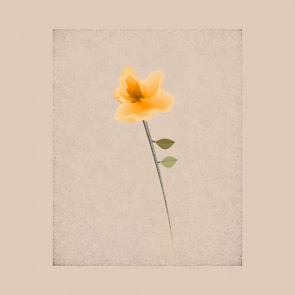Magnolia #81