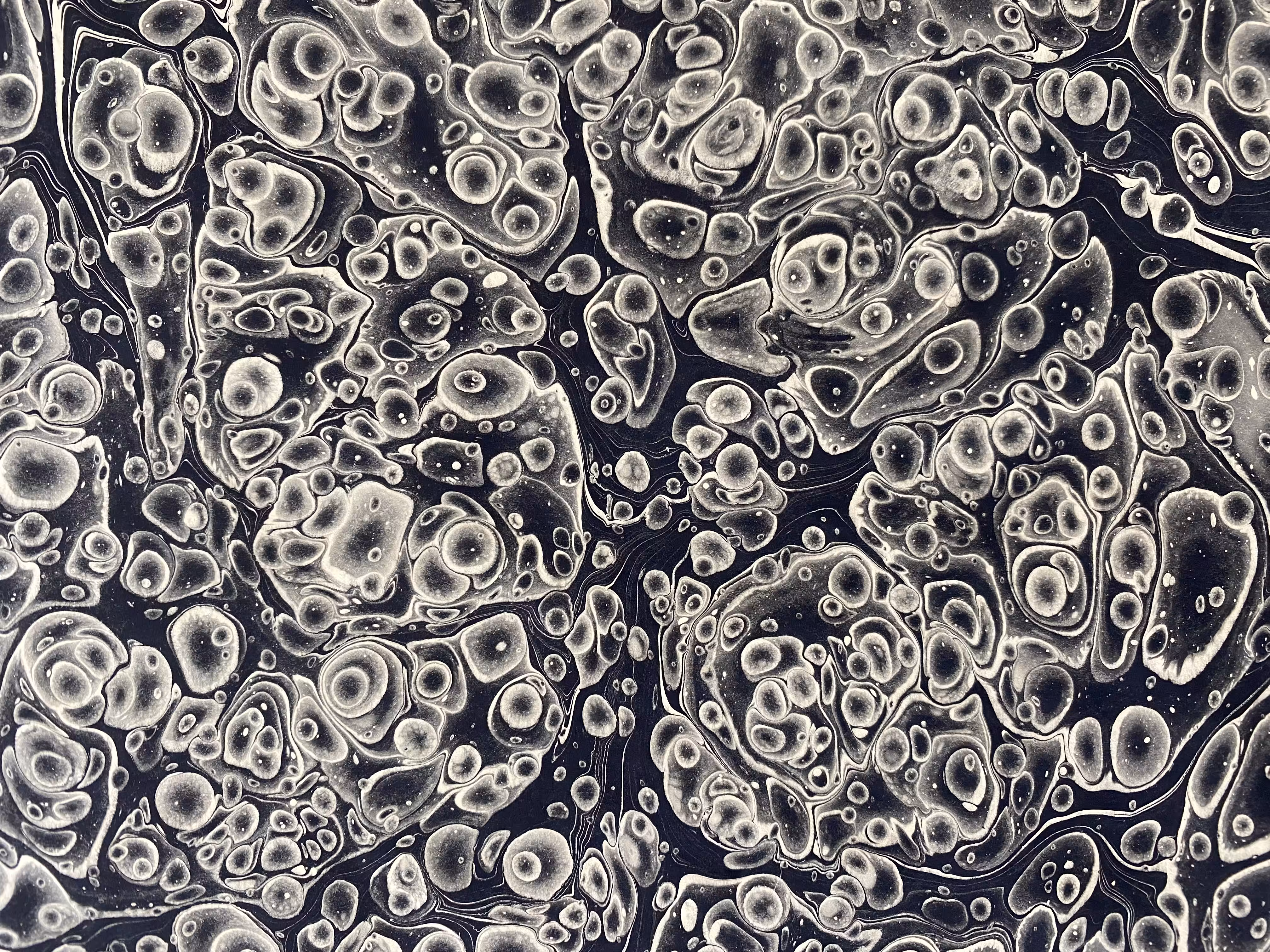 Monochrome Battal Ebrû / Marbling Art SE #6