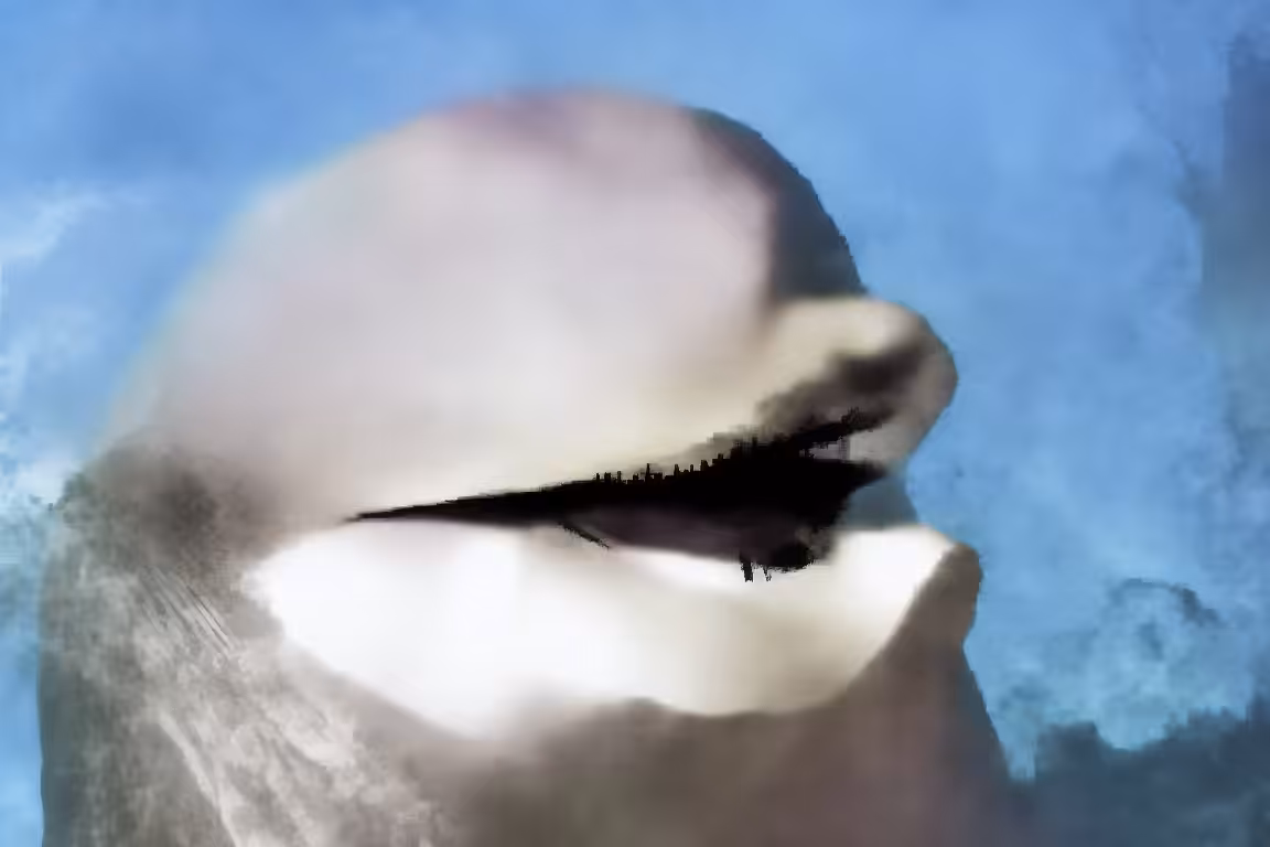 Open Editions: Cute Output Happy Dolphin