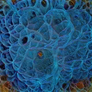 Imagination revealed 