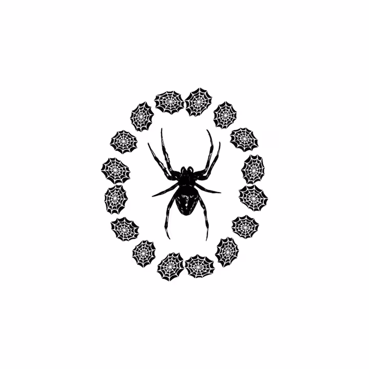 SPIDER SONG