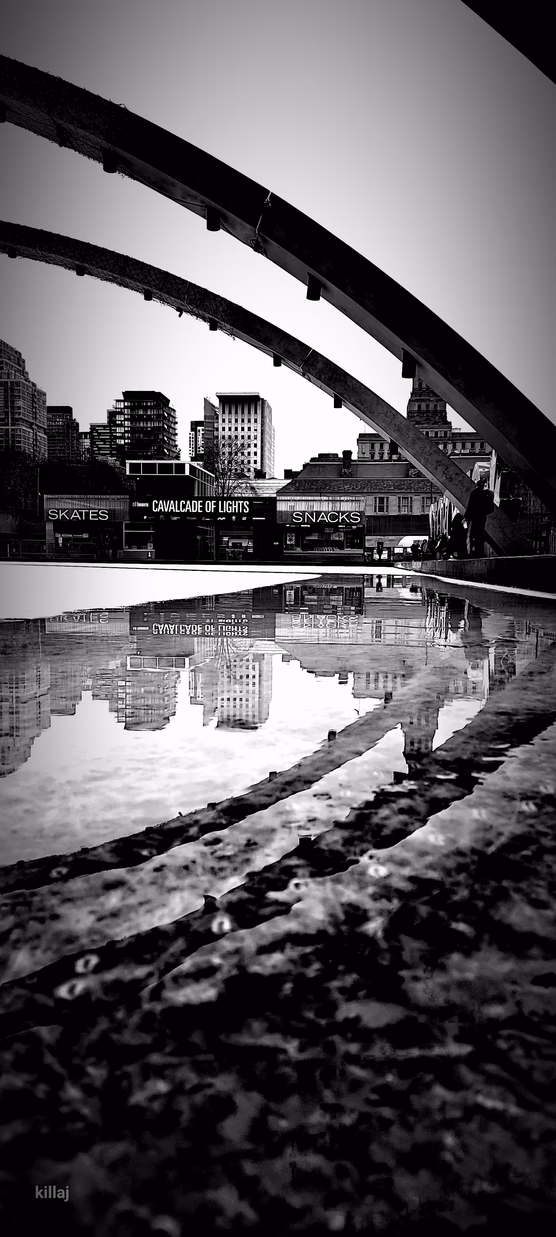 reflection 